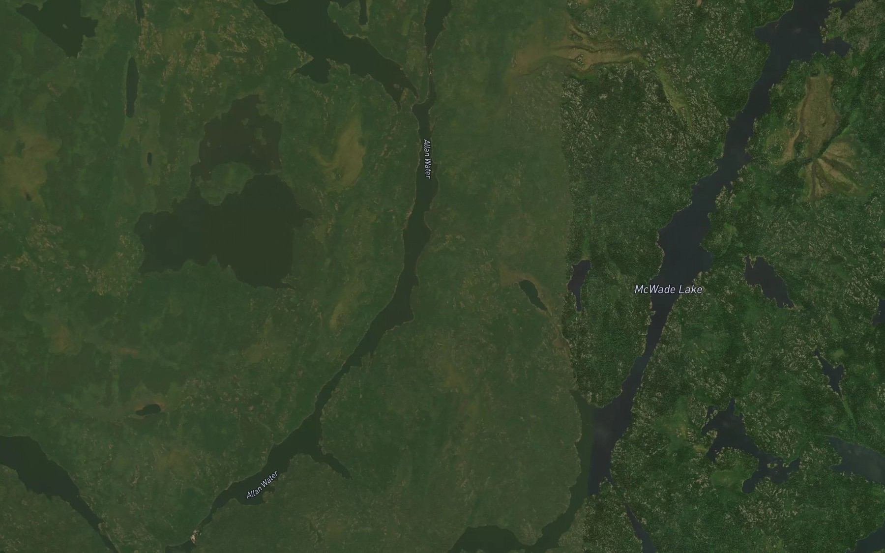 Satellite map of the Allan Water