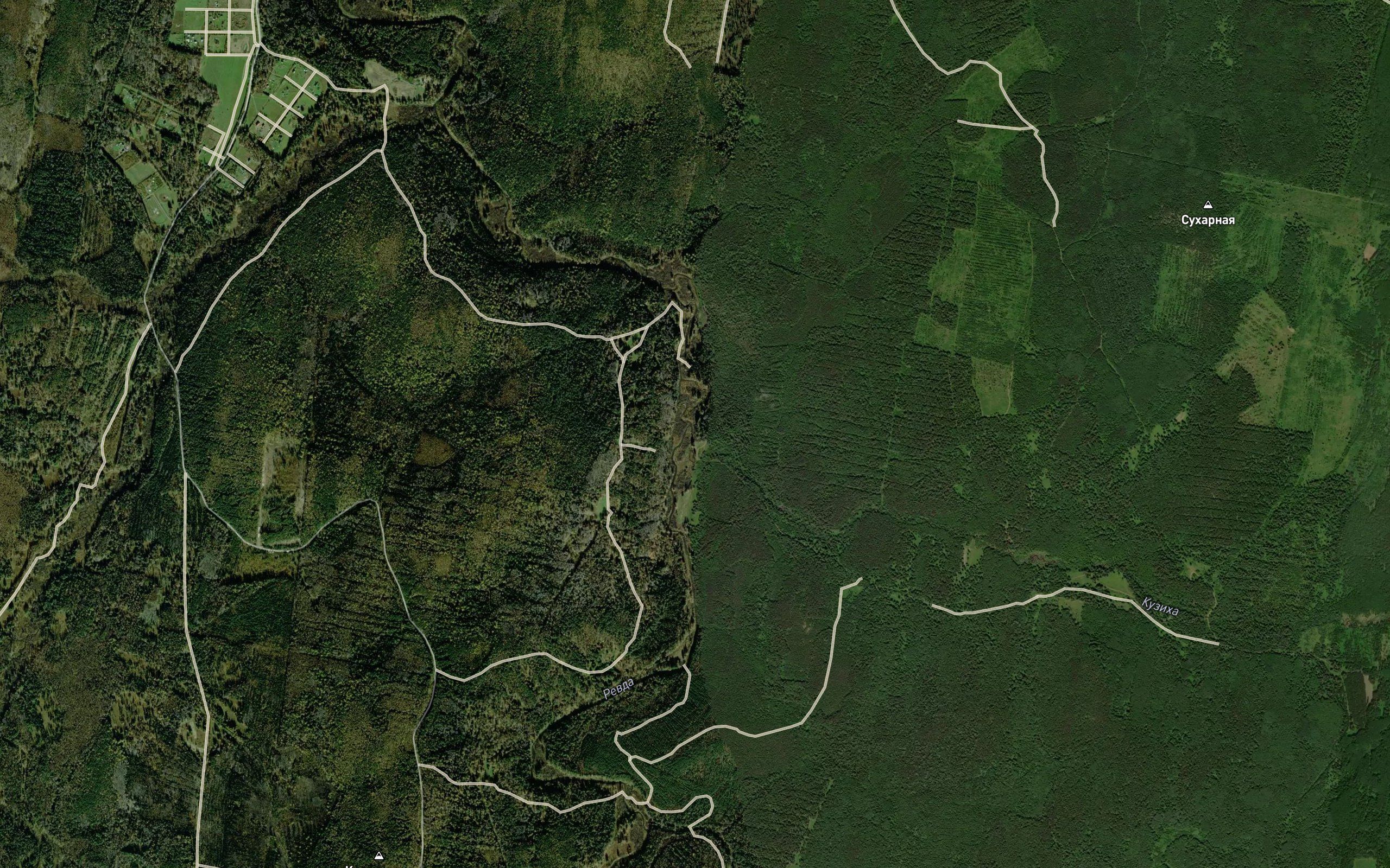 Kuzikha
