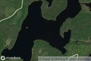 Lac Sucker