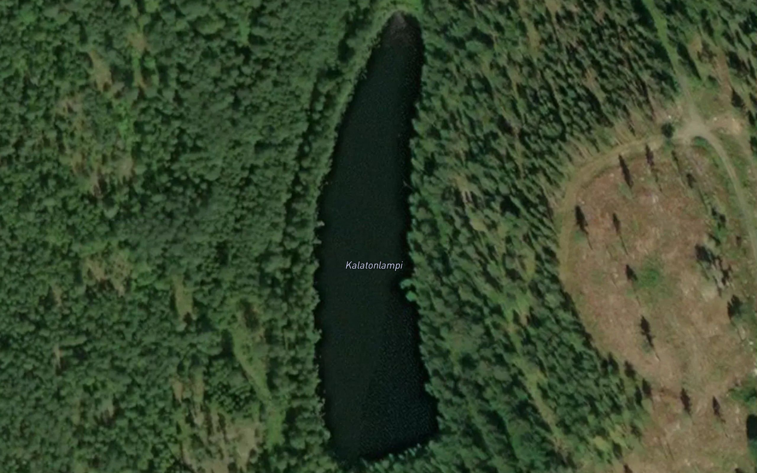 Kalatonlampi