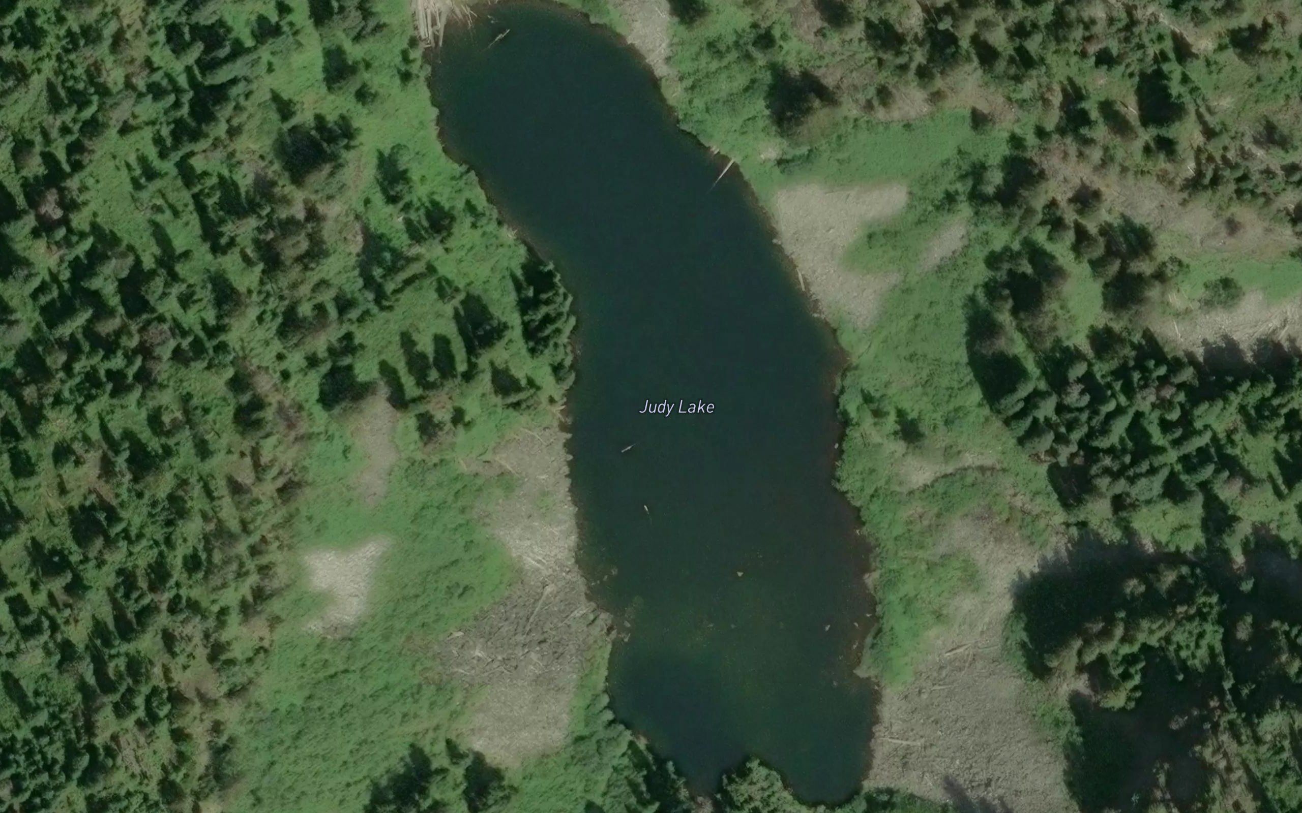 Judy Lake