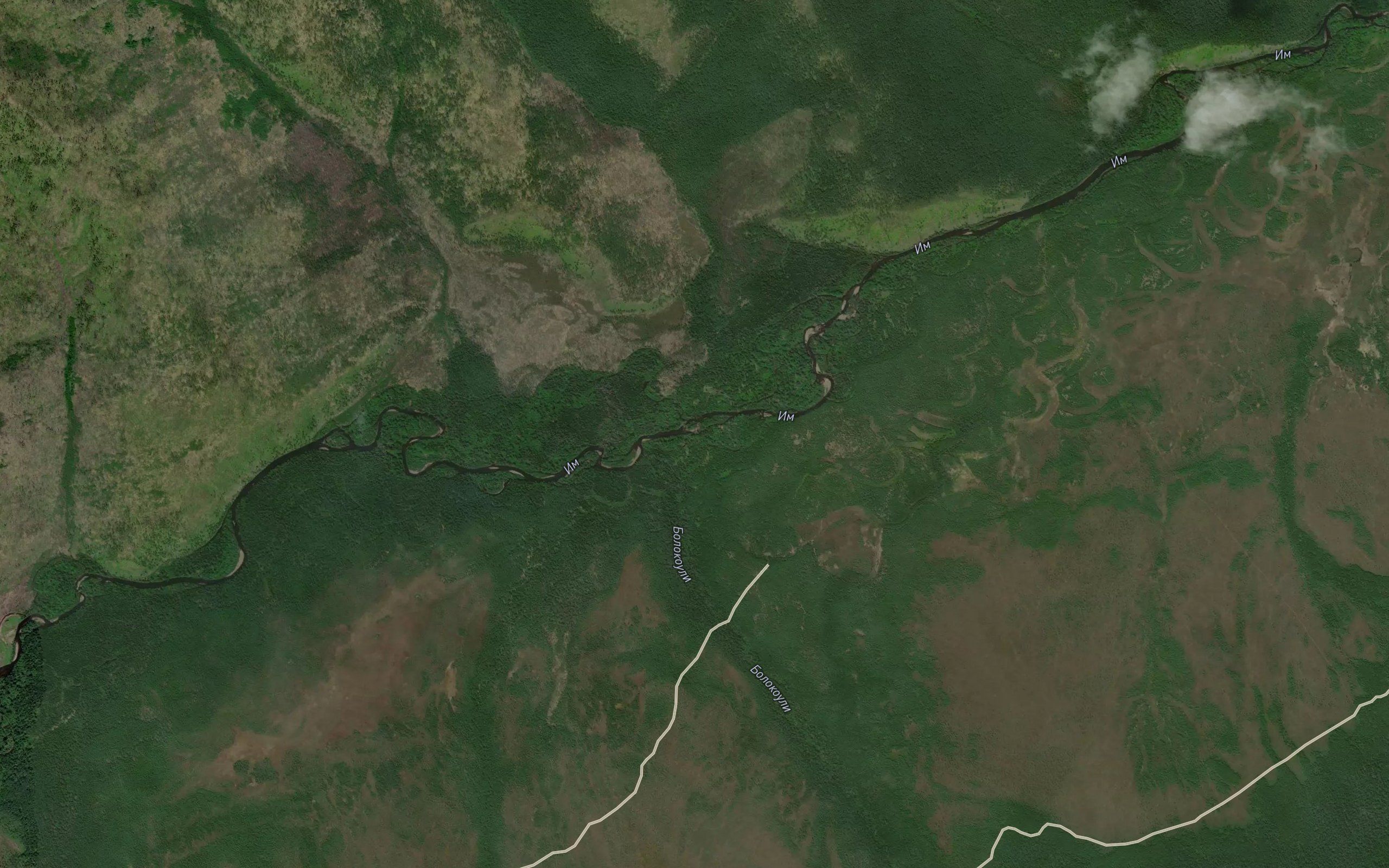 Bolokouli