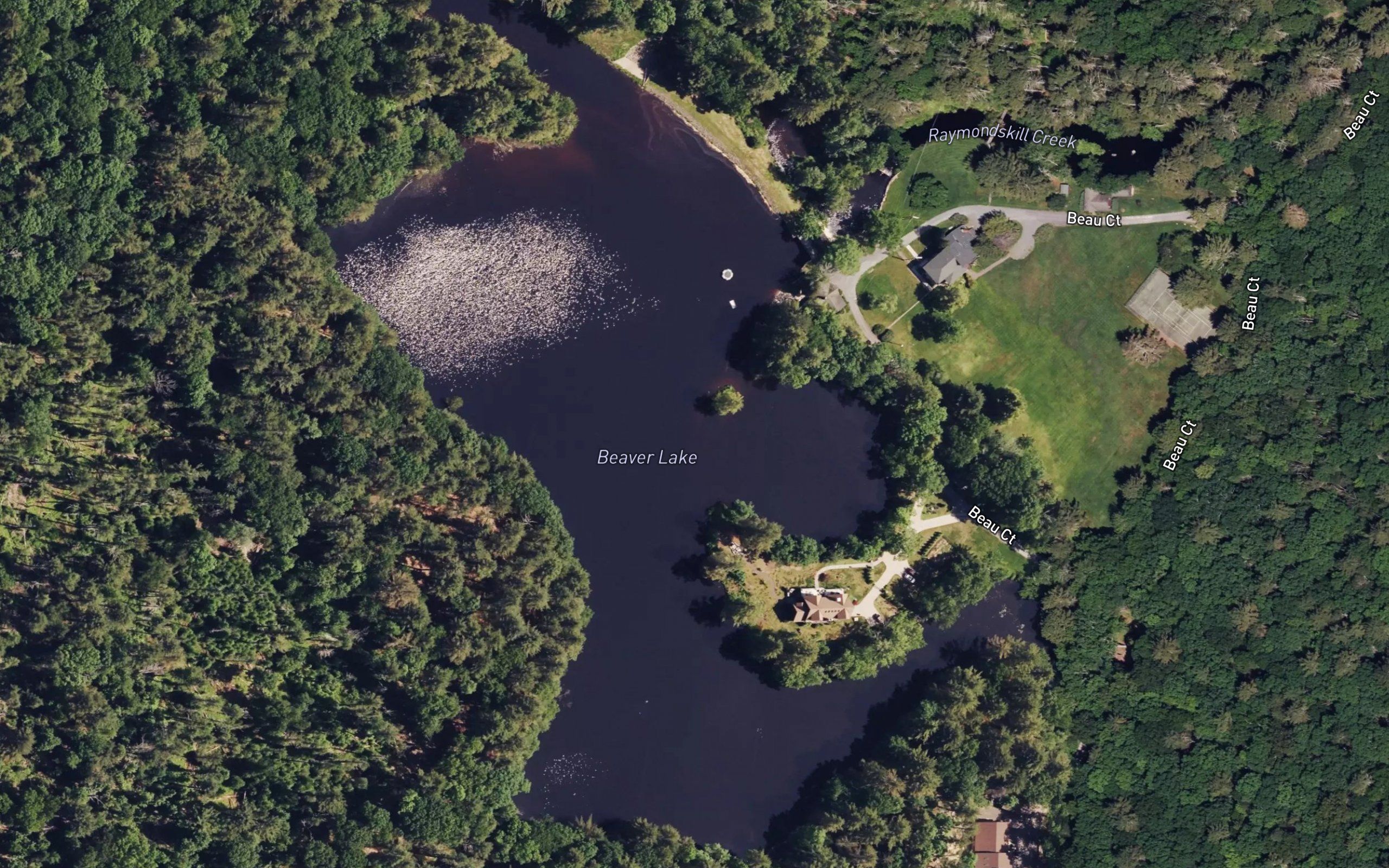 Beaver Lake