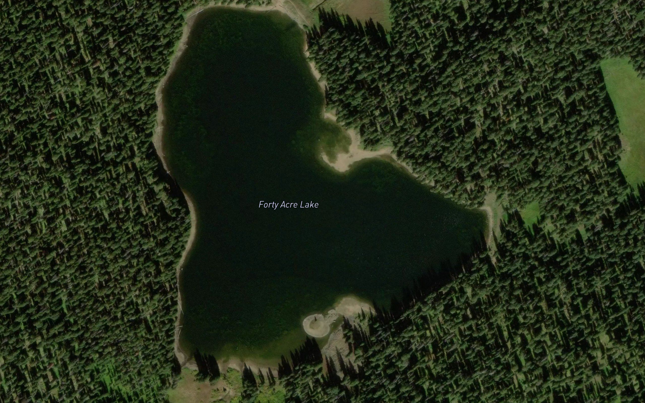 Forty Acre Lake