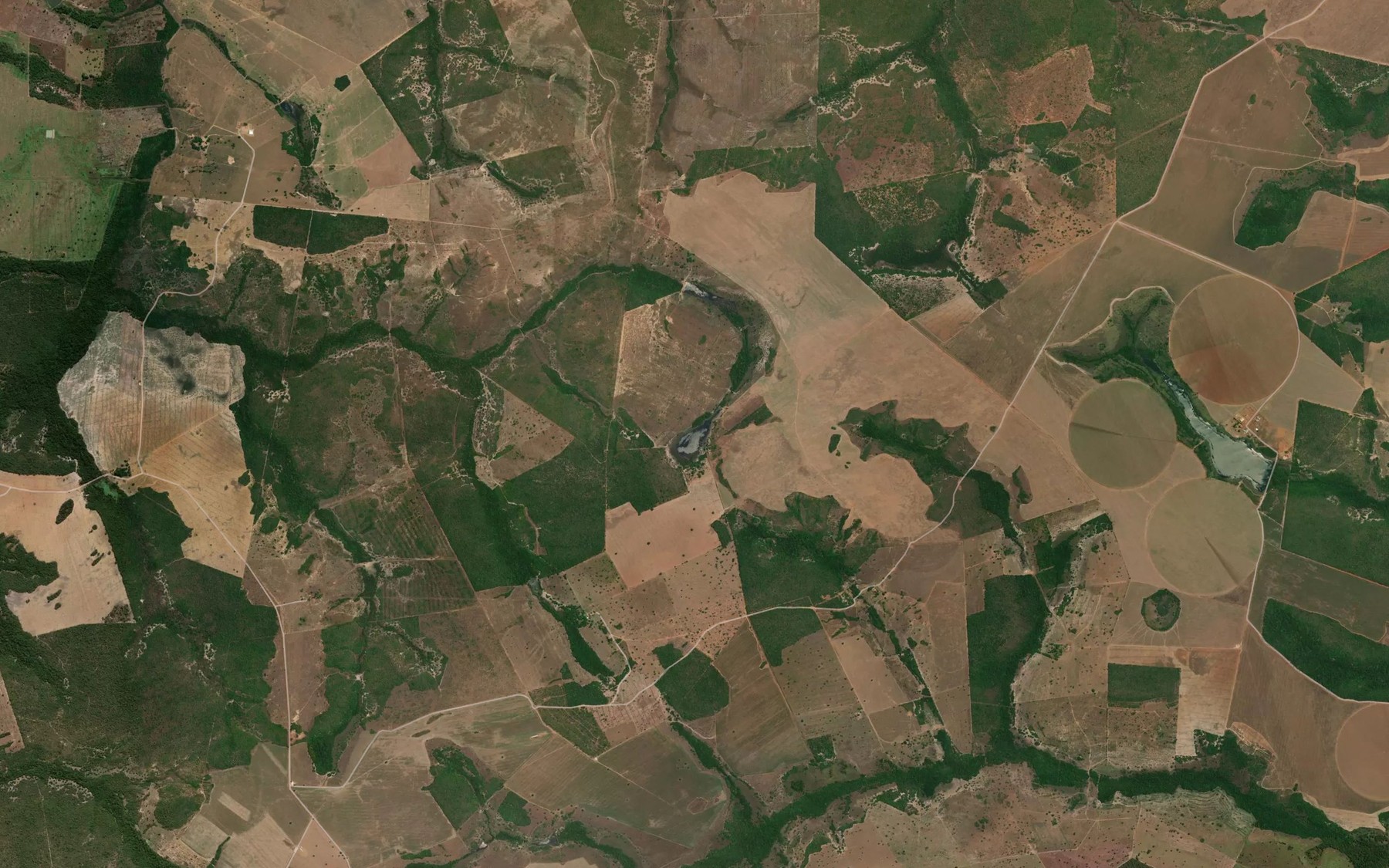 Satellite map of the Lagoa do Bicho