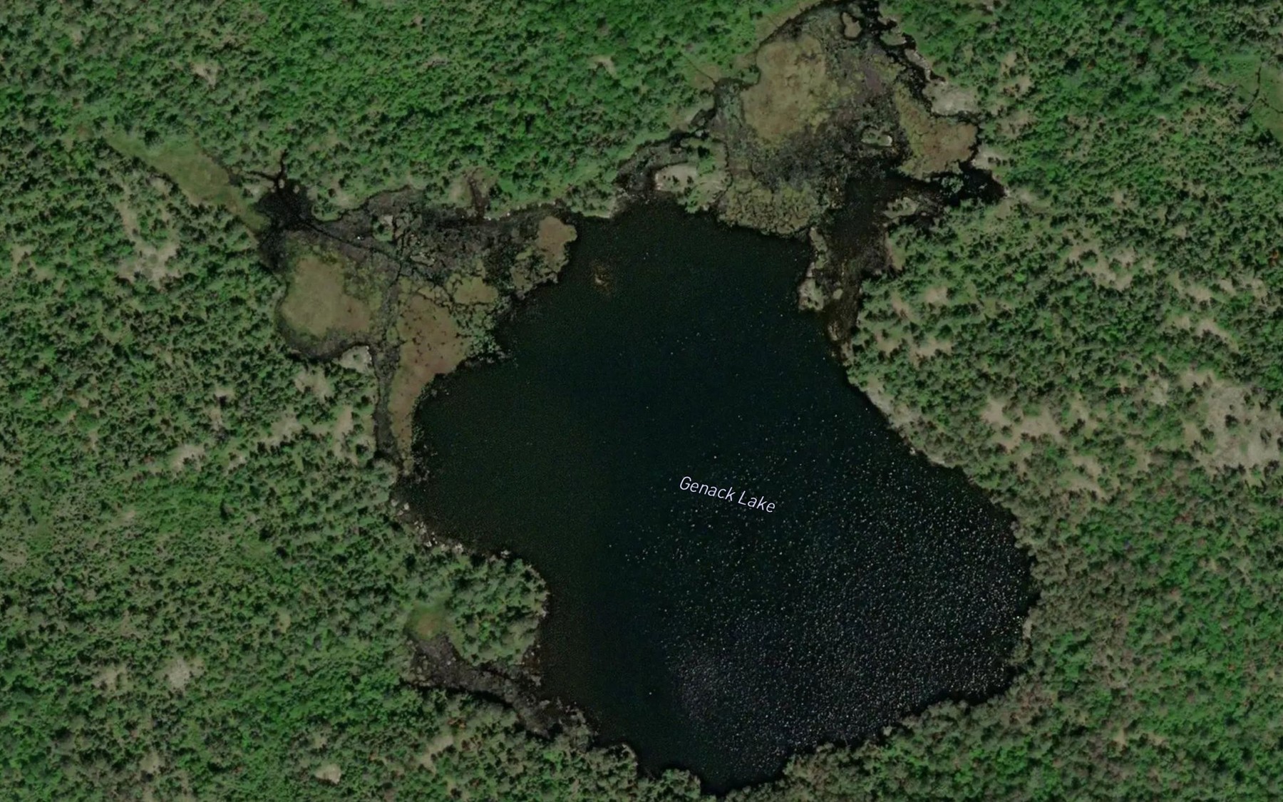 Satellite map of the Genack Lake