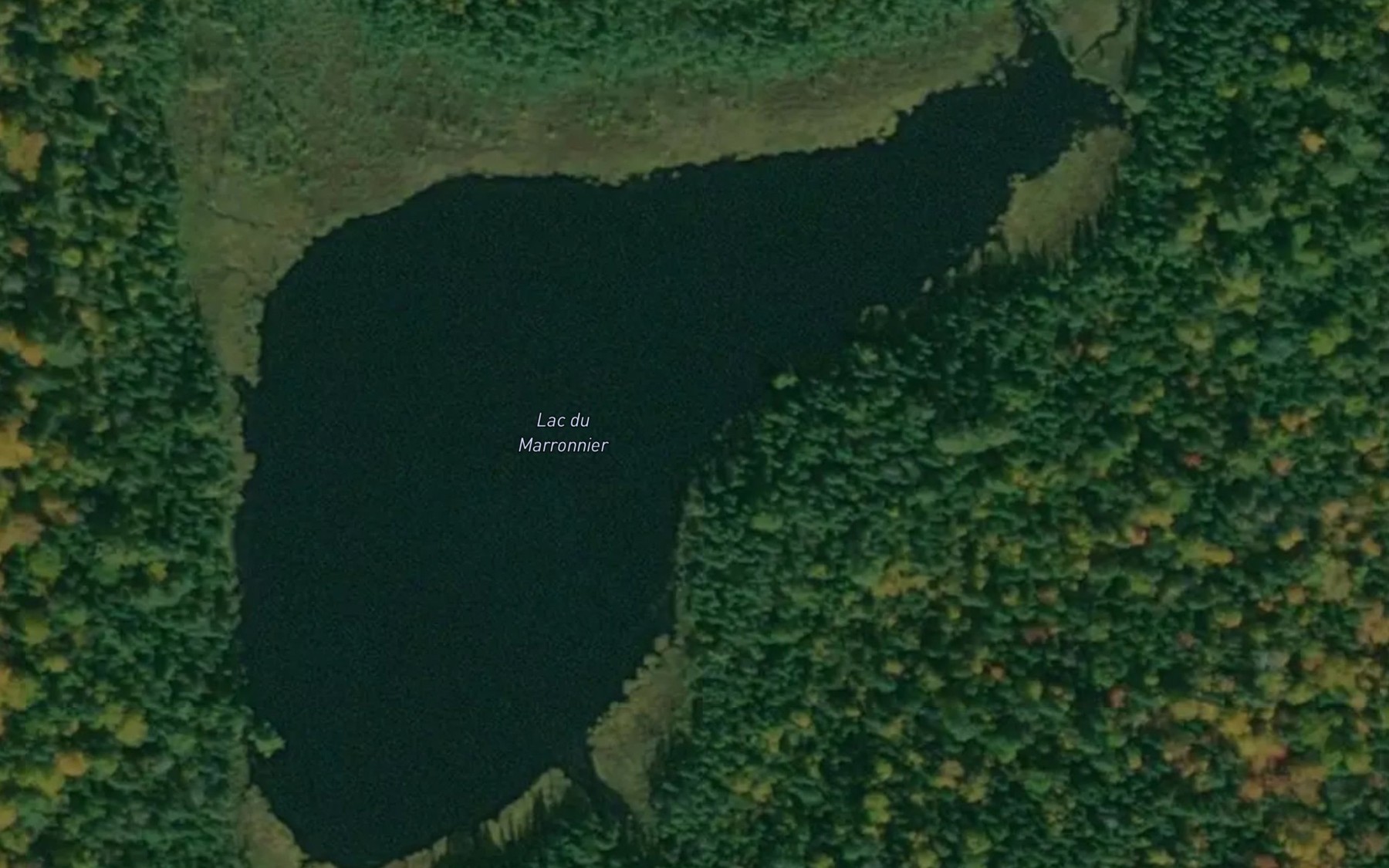 Satellite map of the Lac du Marronnier