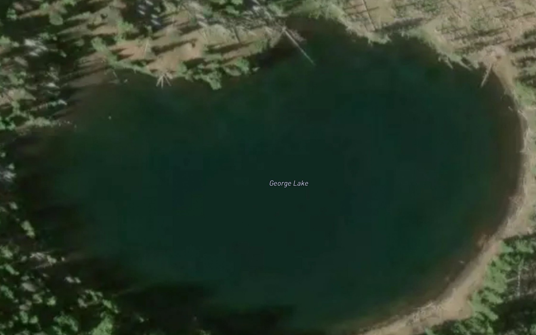 Satellite map of the George Lake