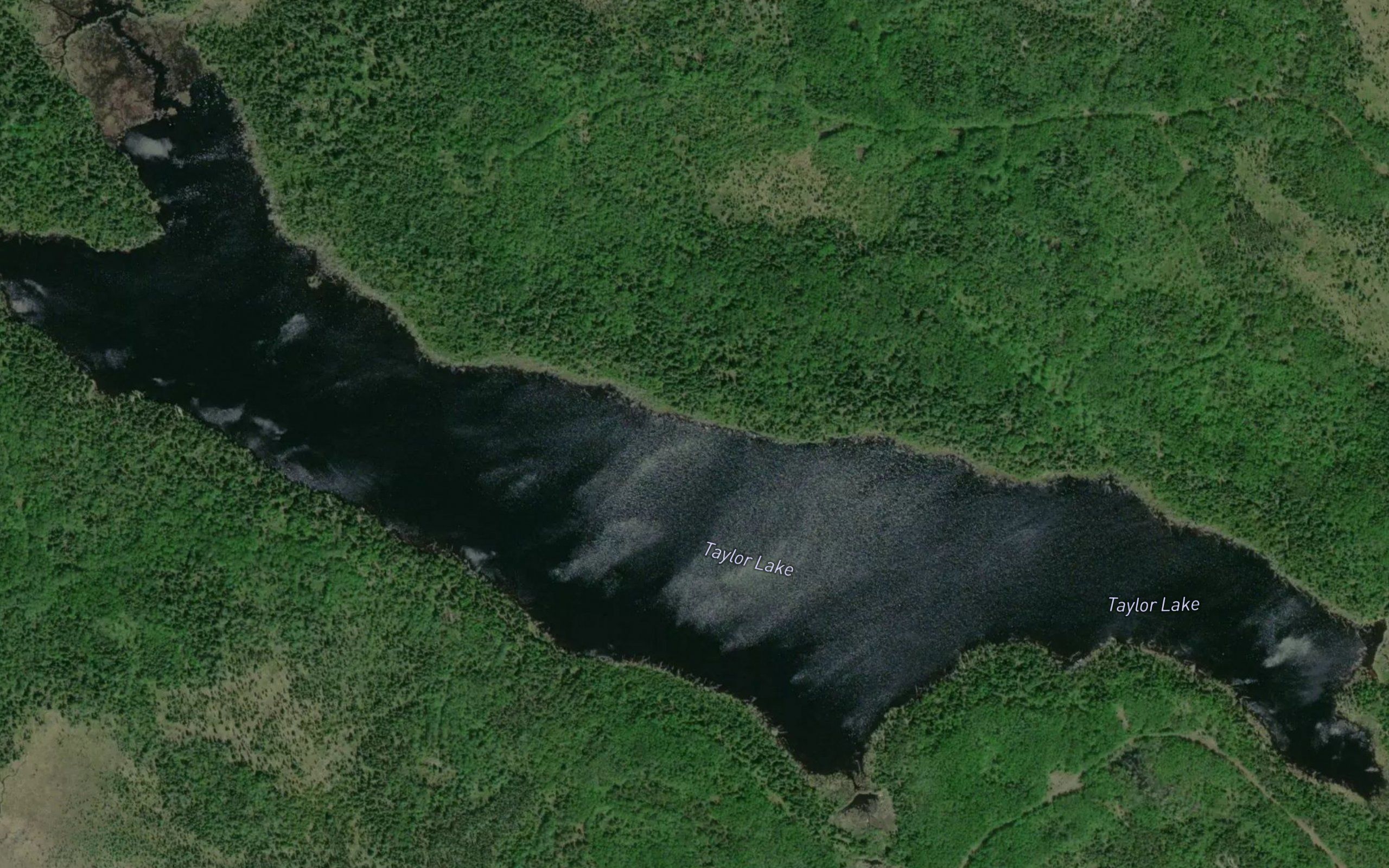 Taylor Lake