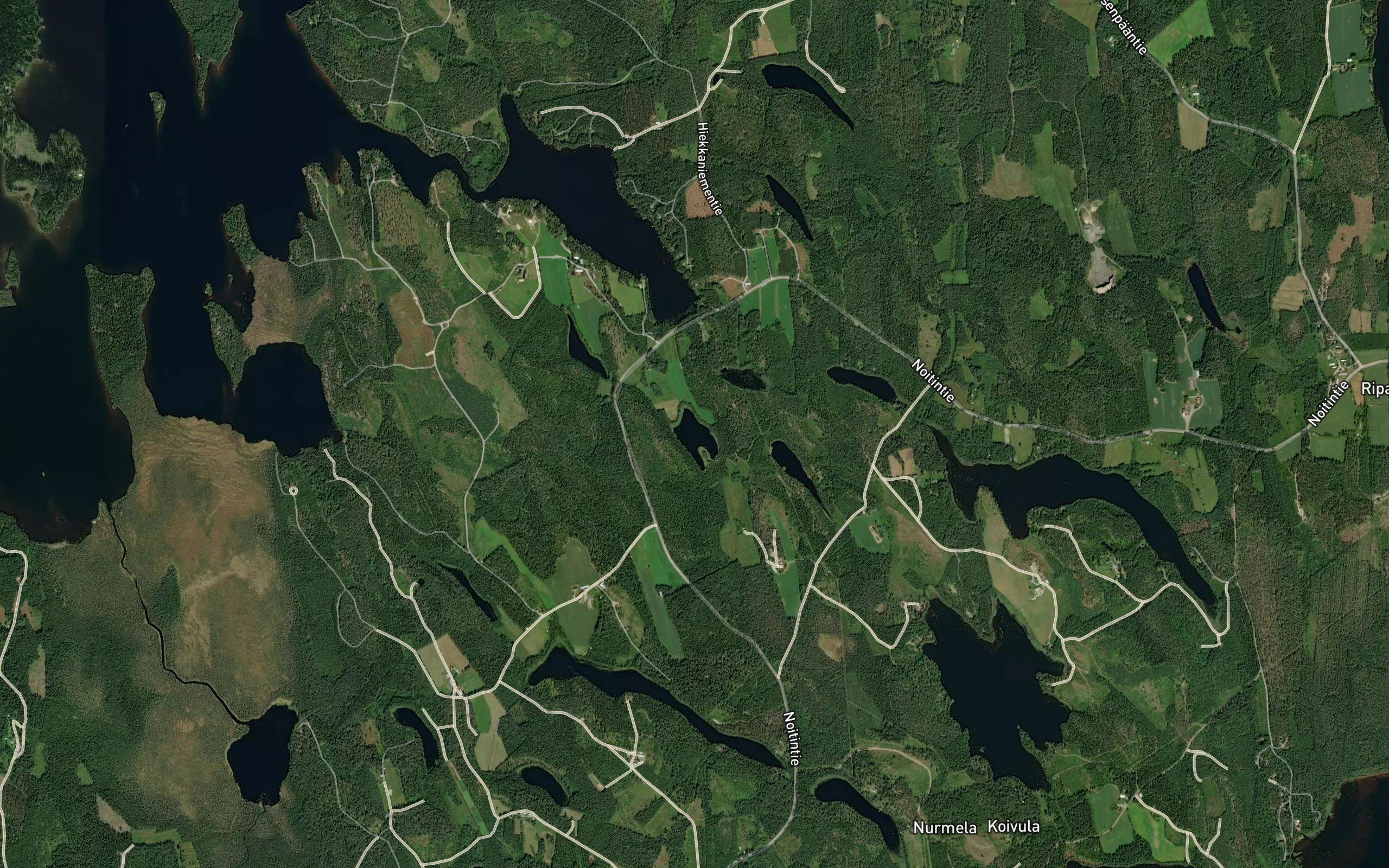 Haukilampi