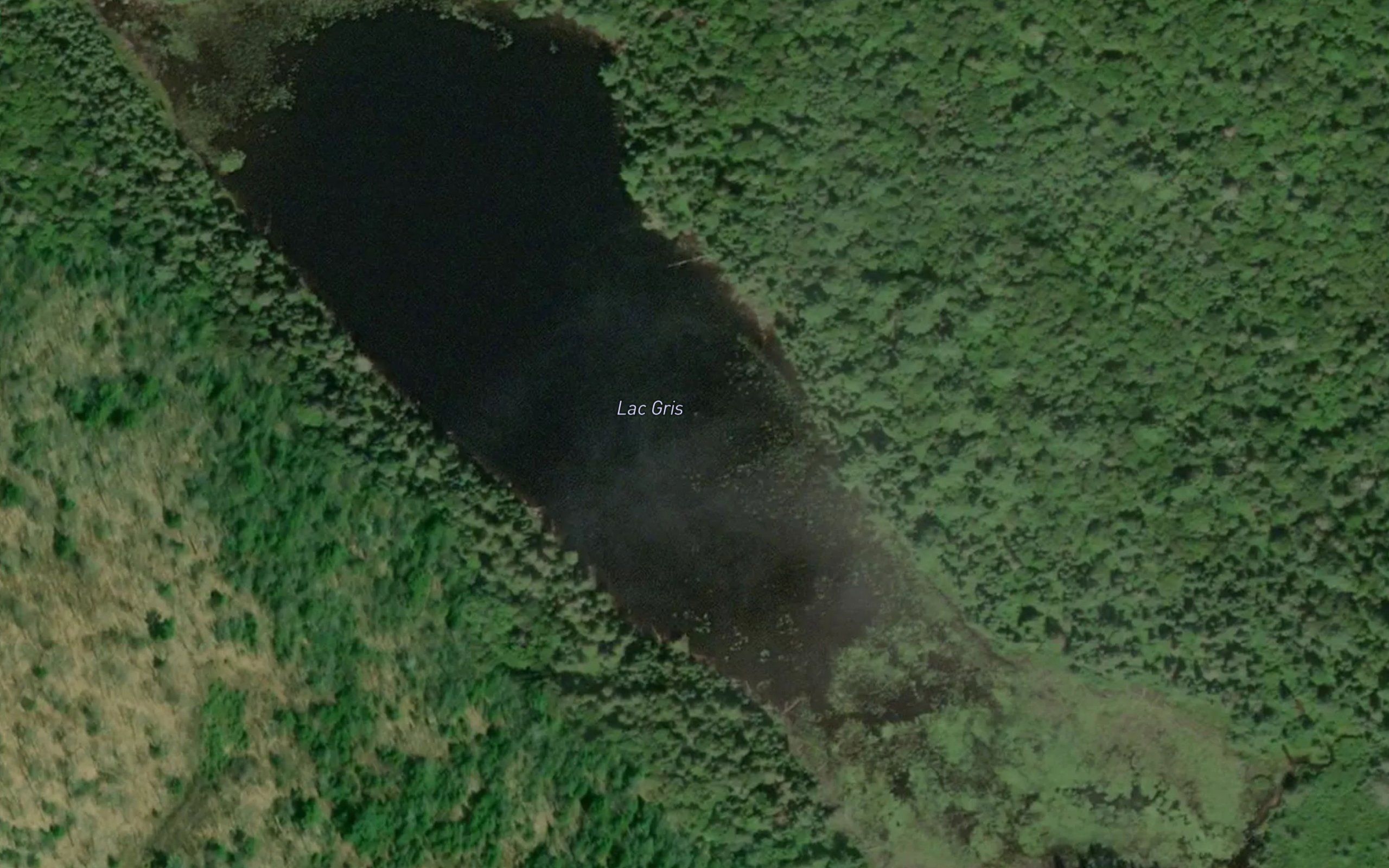 Lac Gris