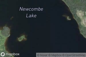 Newcombe Lake