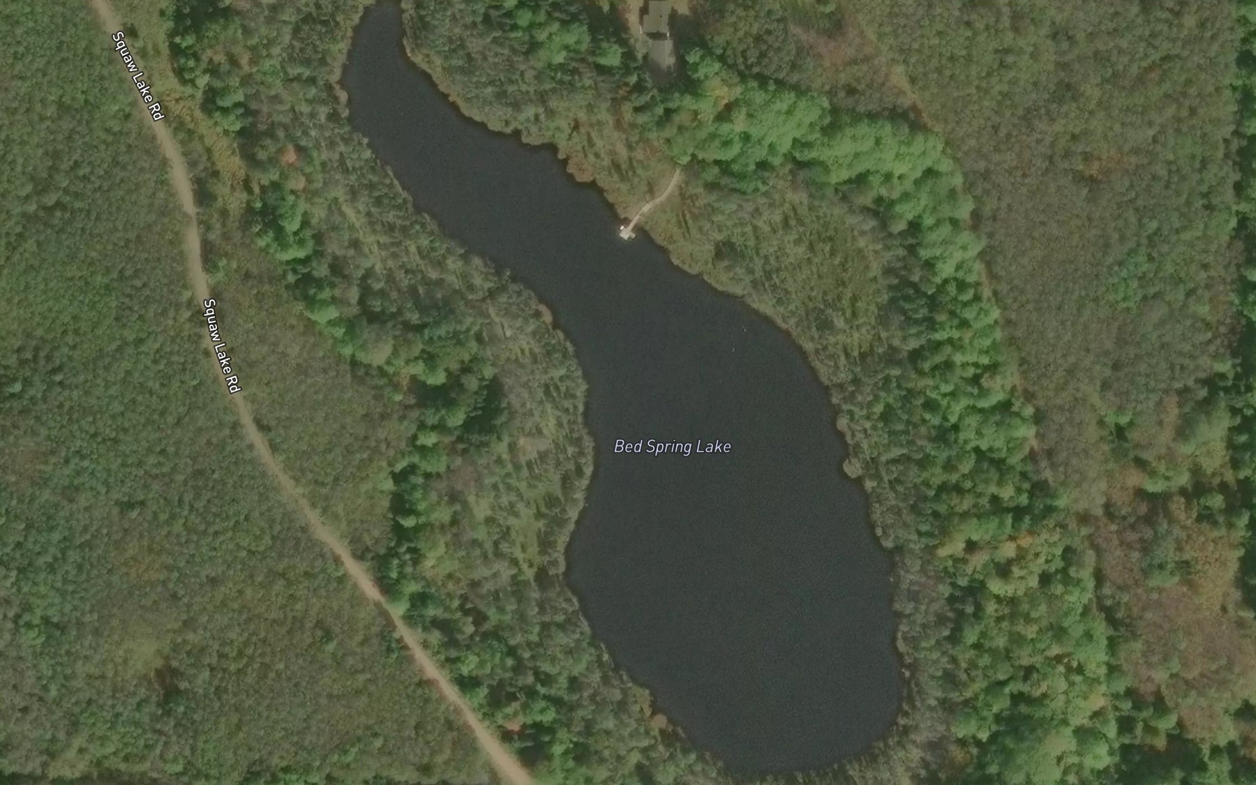 Satellite map of the Bed Spring Lake