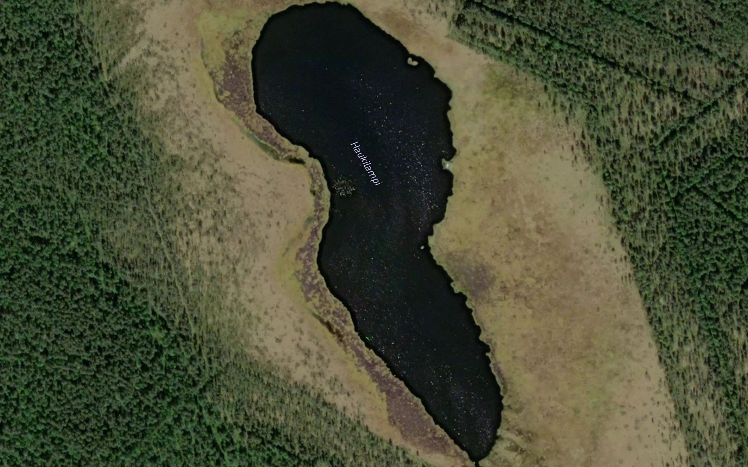 Haukilampi