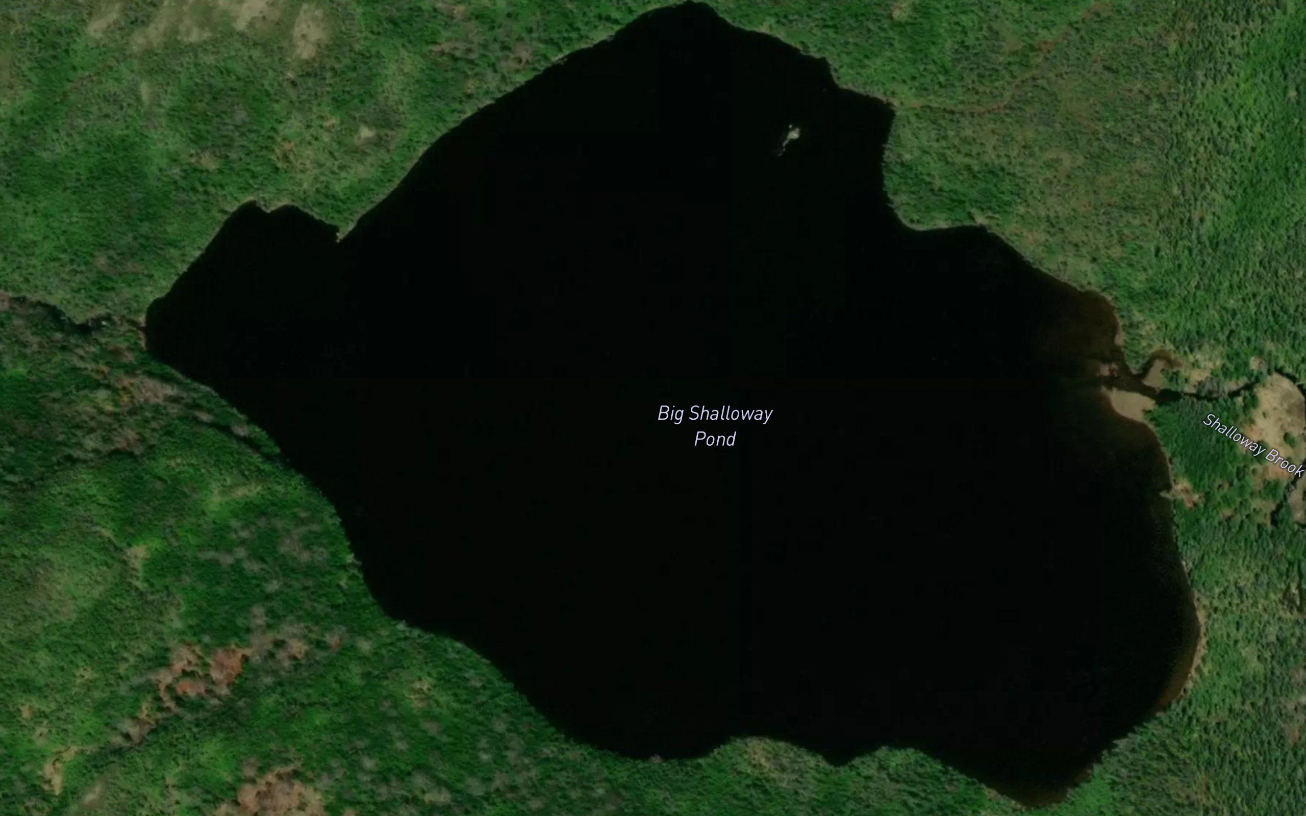 Big Shalloway Pond
