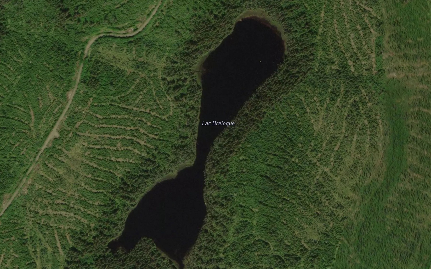 Satellite map of the Lac Breloque