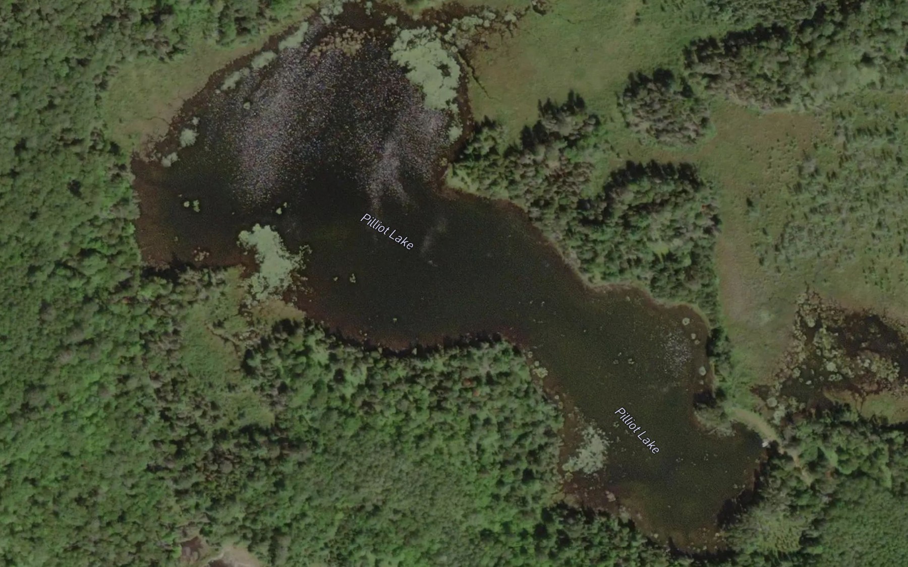 Satellite map of the Pilliot Lake