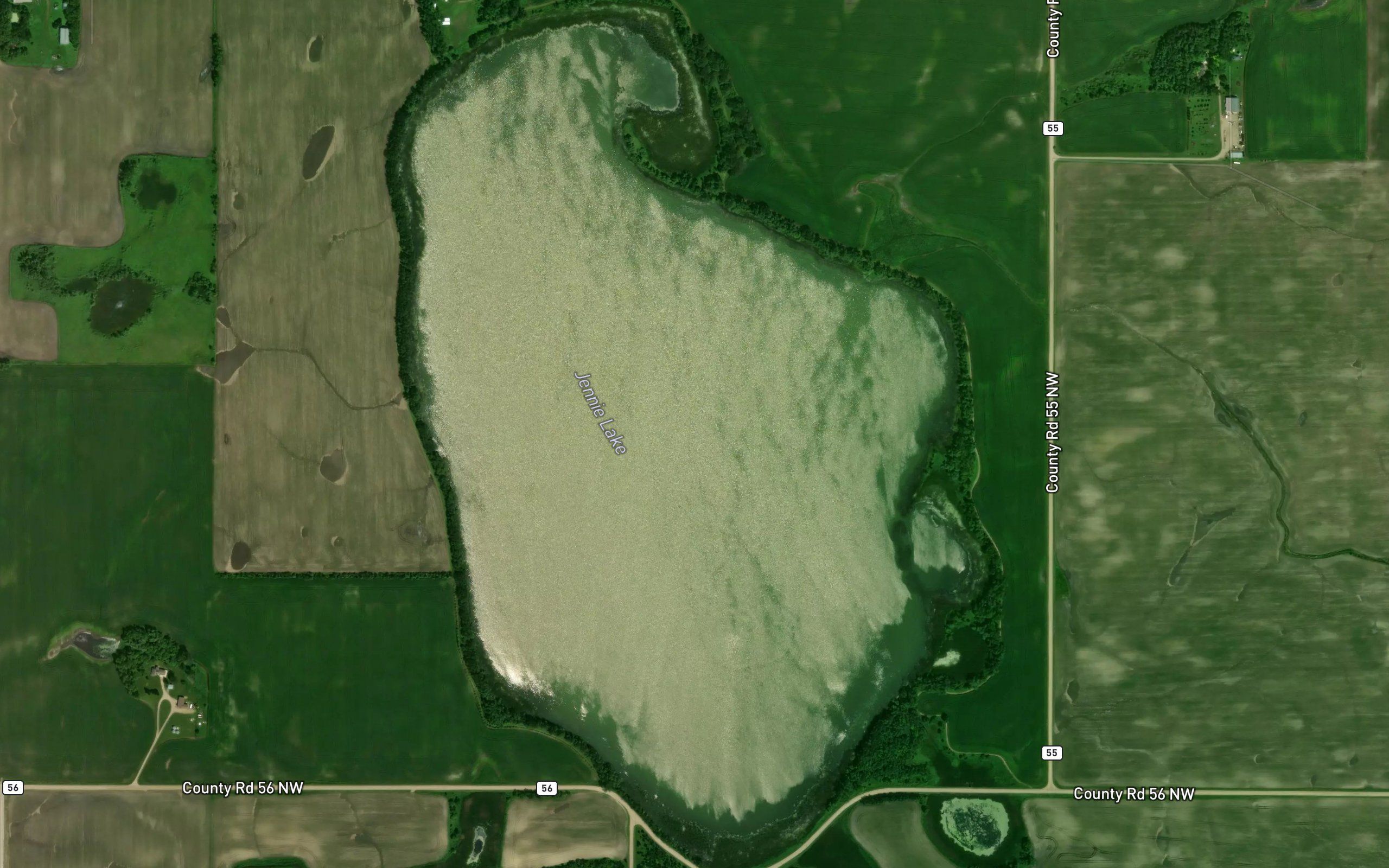 Jennie Lake