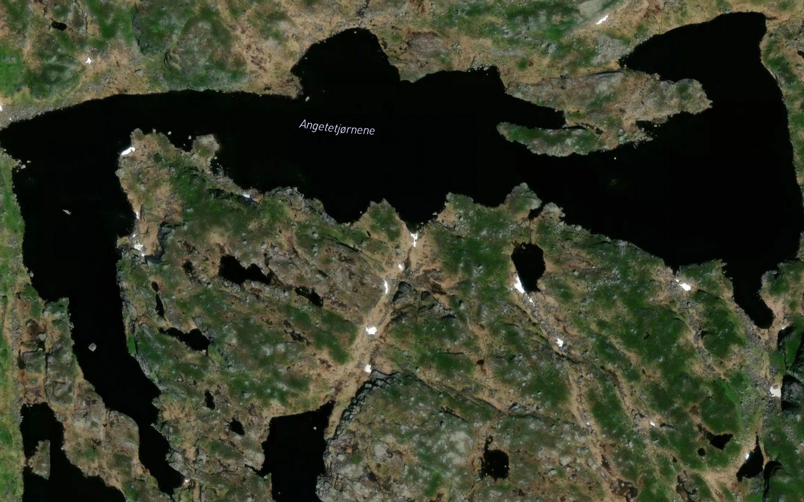 Vinkeltjorna