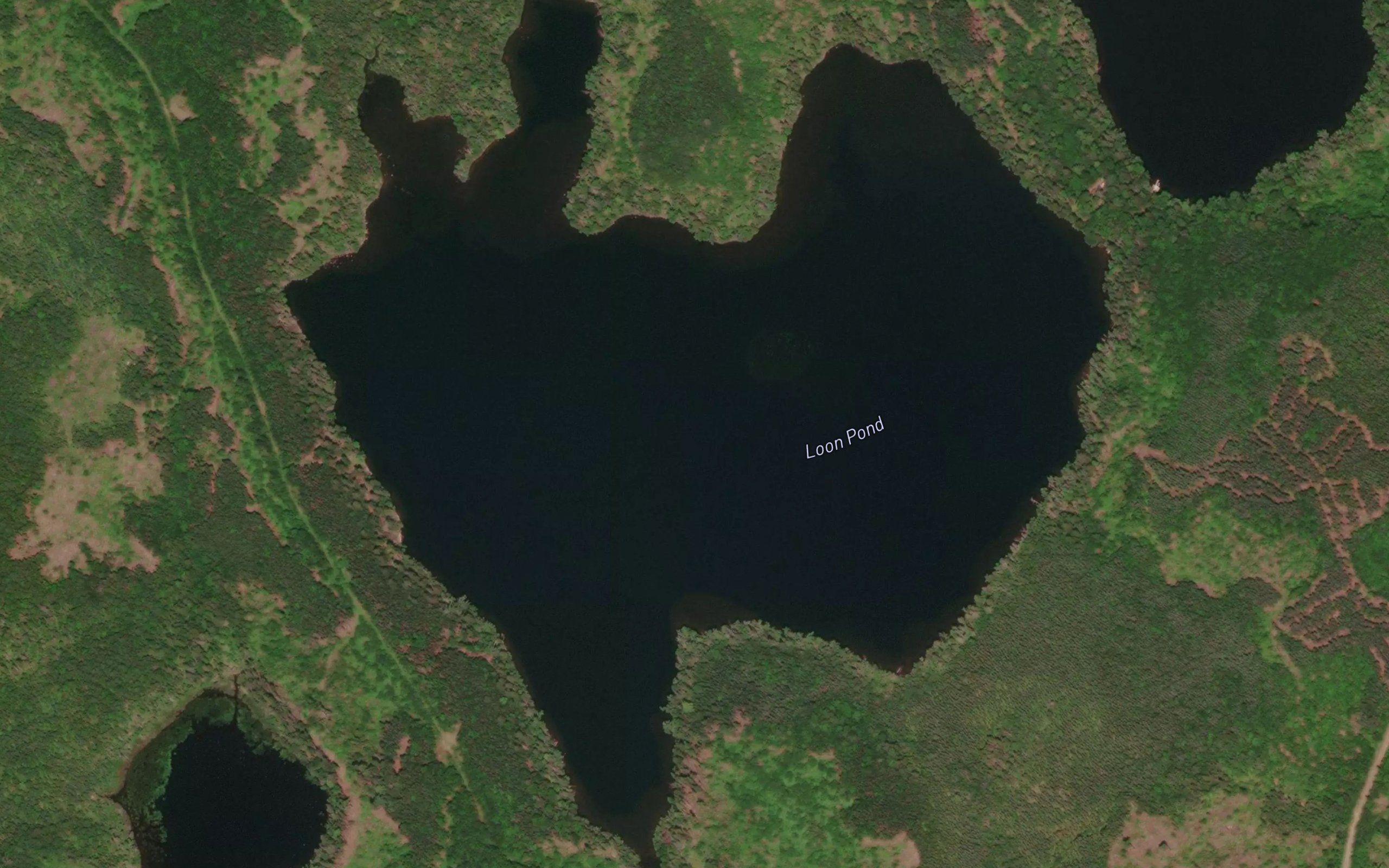 Loon Pond