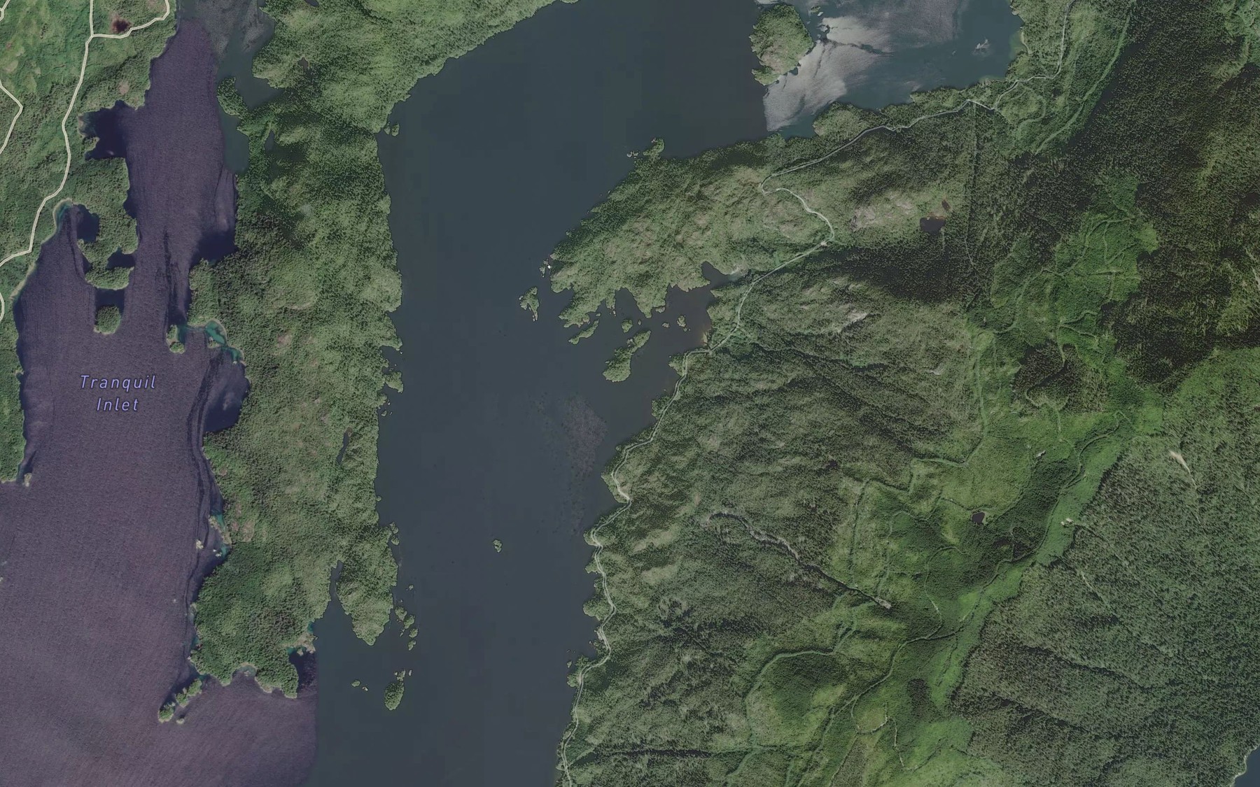 Satellite map of the Irving Cove