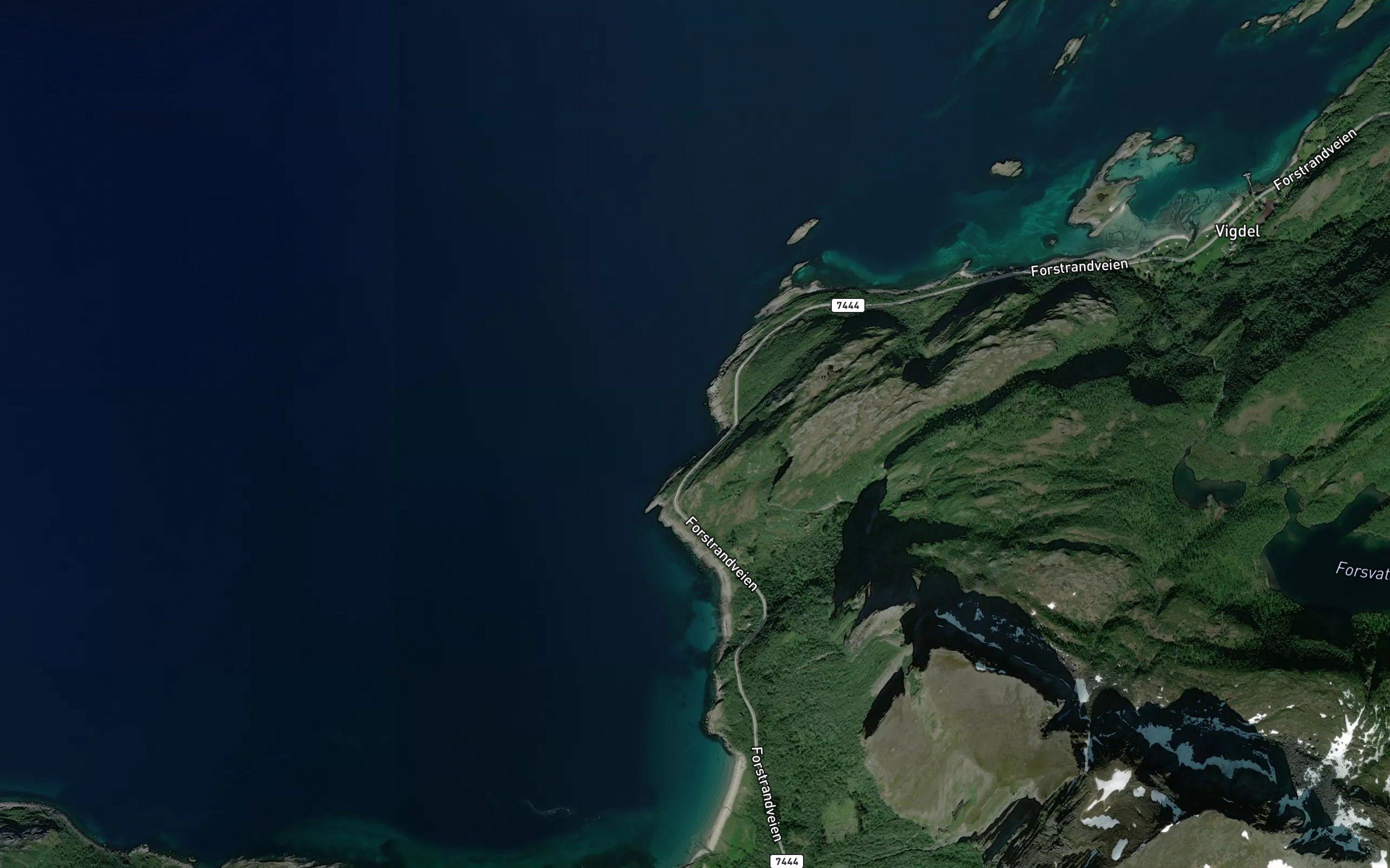 Borsteinvika