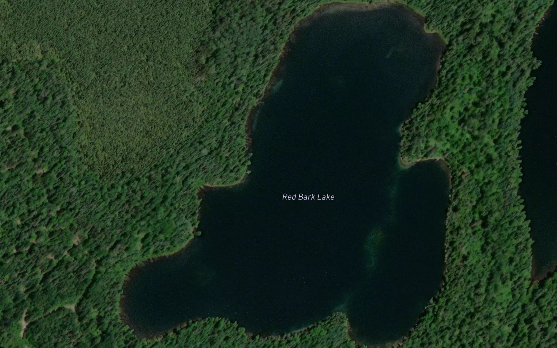 Satellite map of the Red Bark Lake