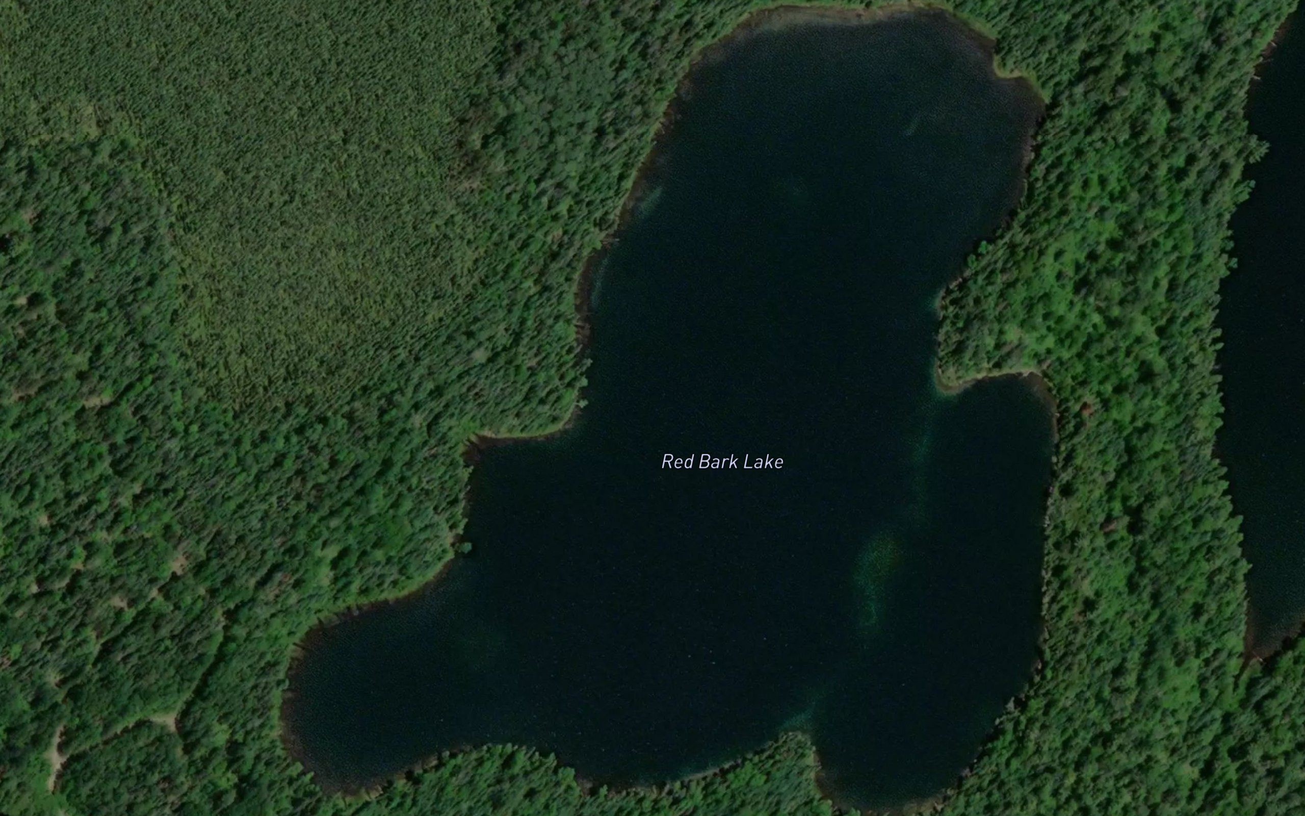 Red Bark Lake