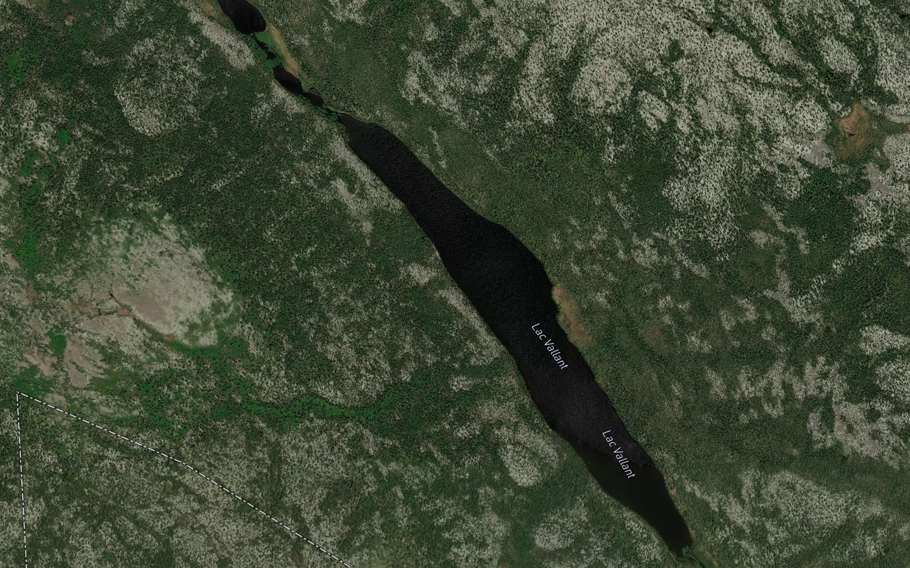 Satellite map of the Lac Vallant