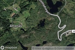 Diketjorna
