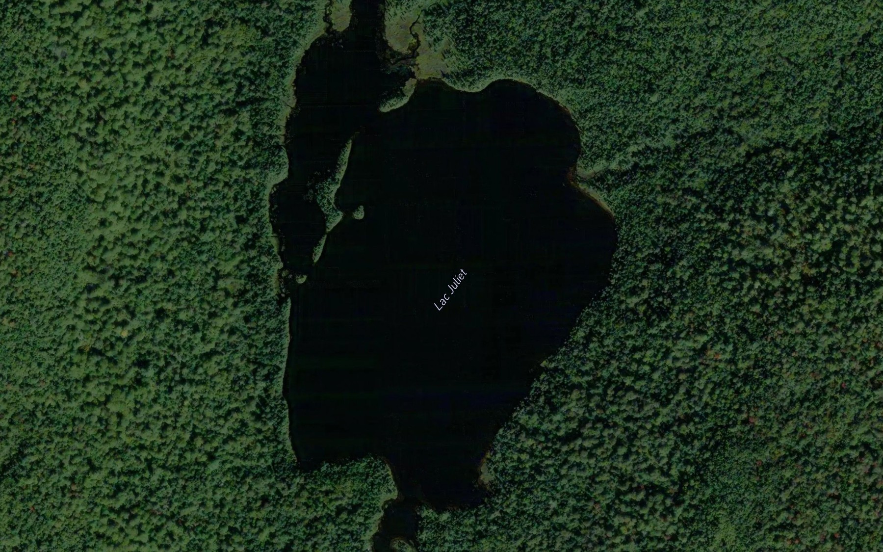 Satellite map of the Lac Juliet