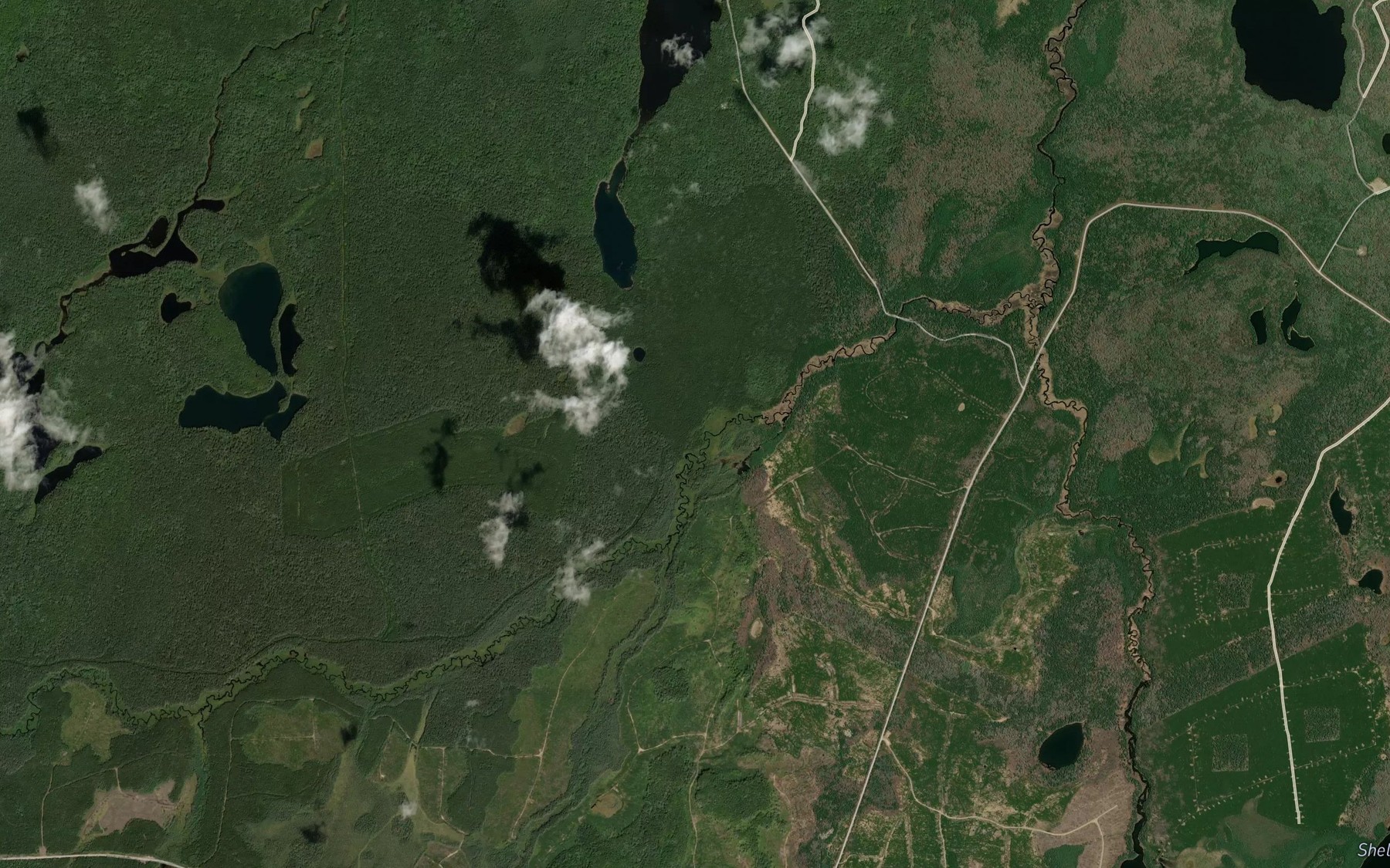 Satellite map of the Pug Creek