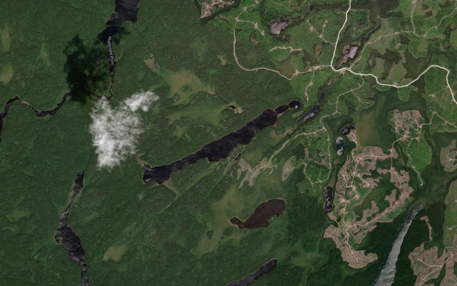 Satellite map of the Almon Lake