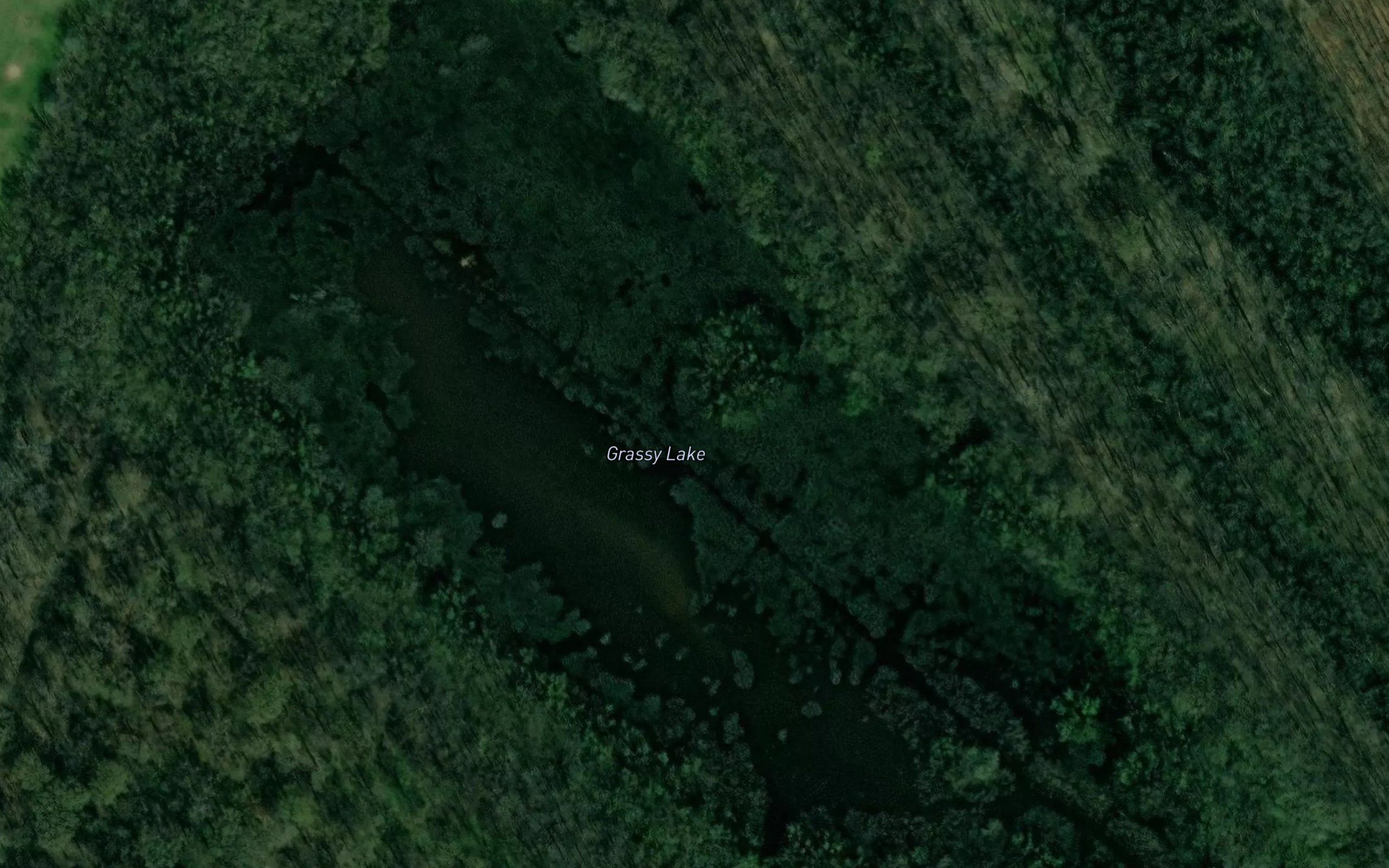 Grassy Lake