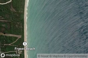 Sea Elephant Bay