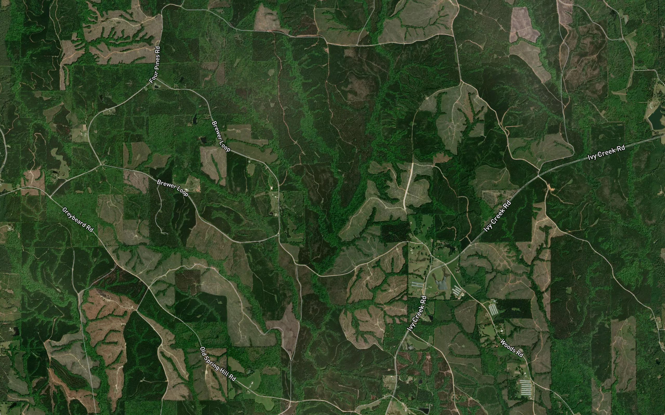 Honey Creek