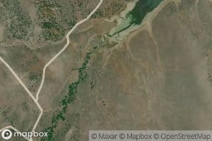 Sagehen Creek