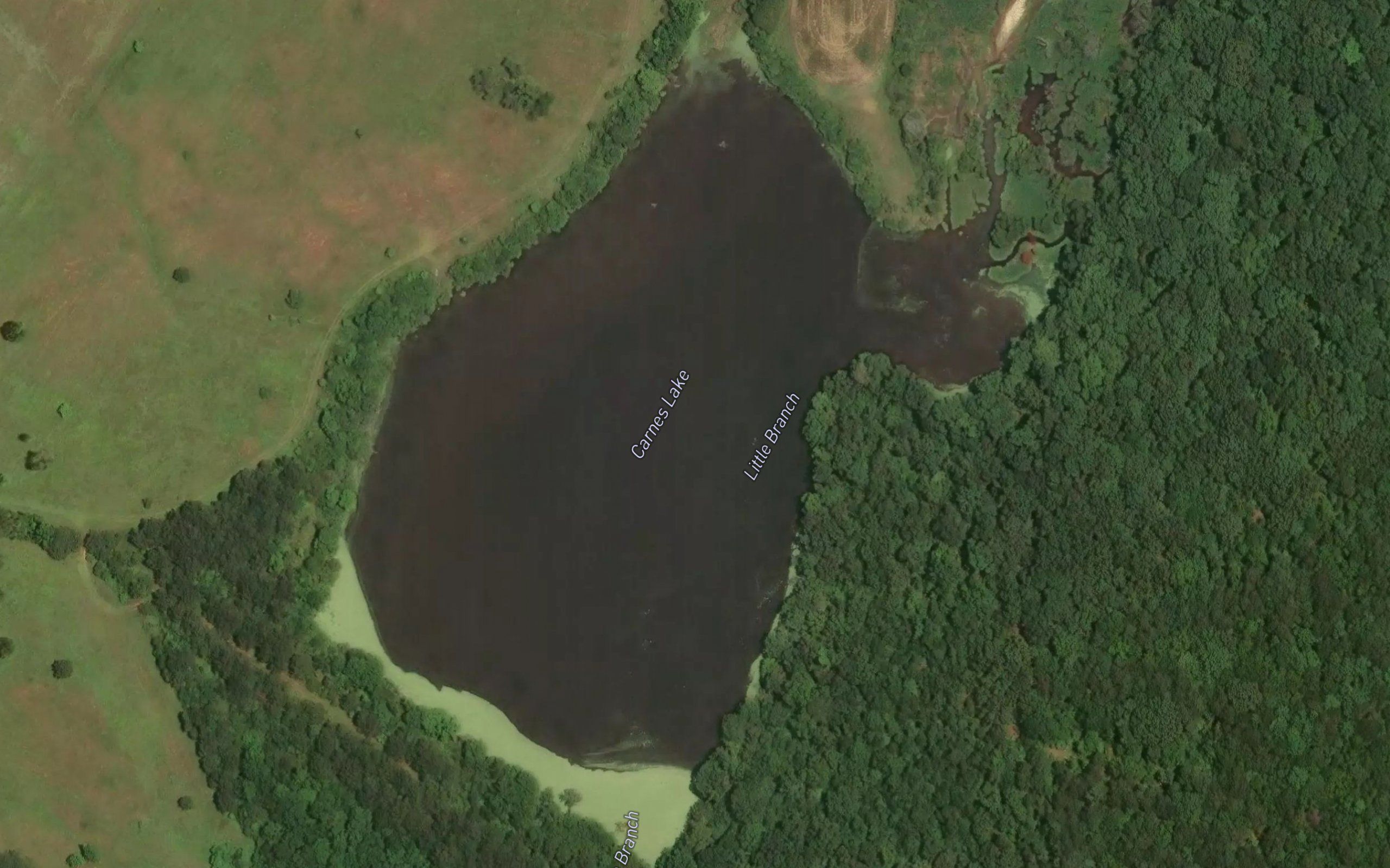 Carnes Lake