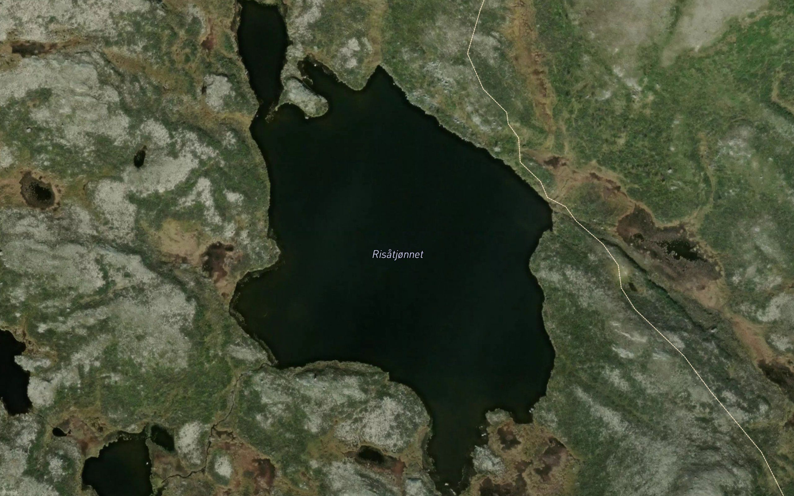 Risatjornet