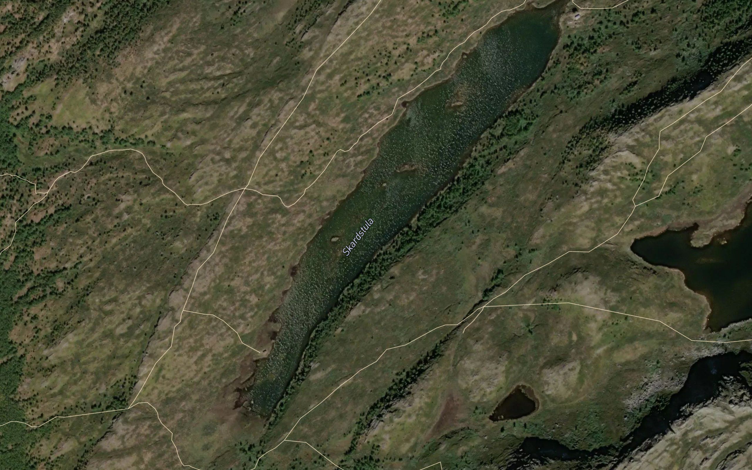 Skardstula