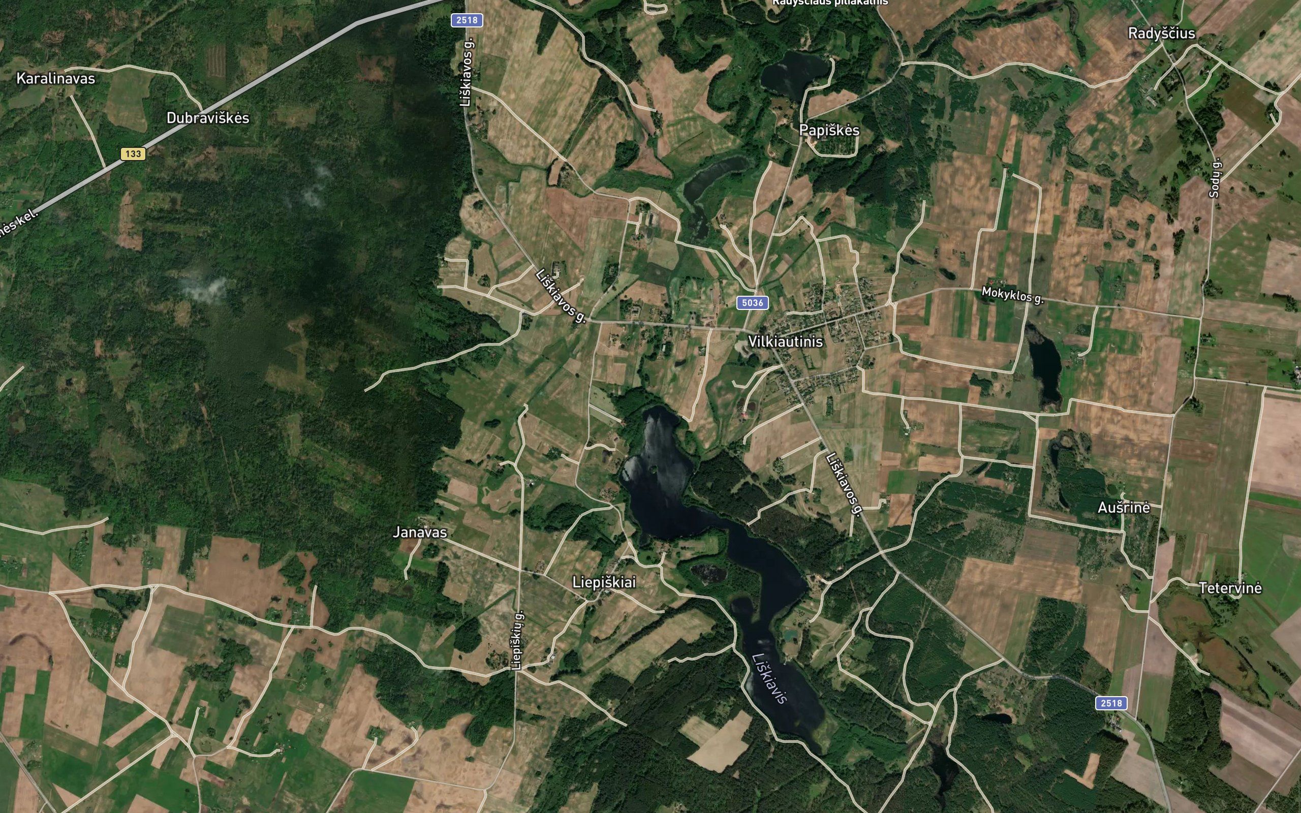Vilkiautine