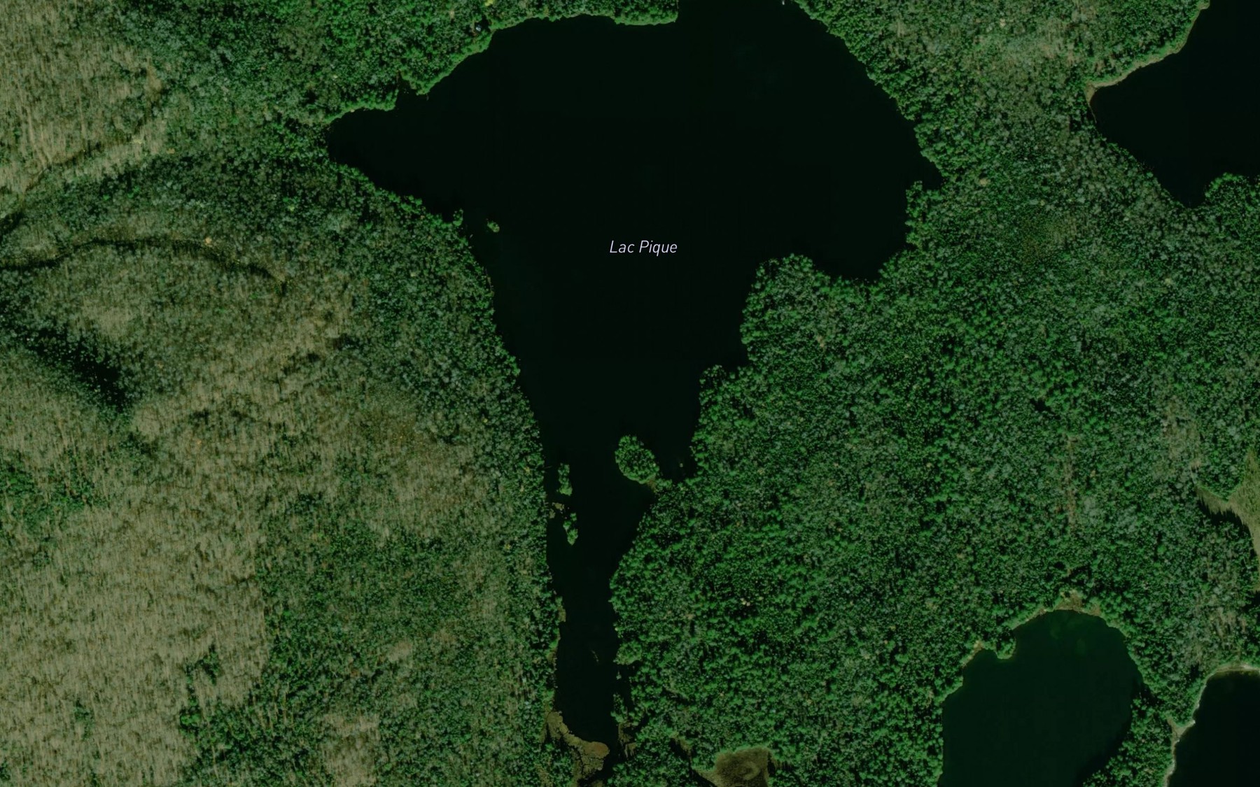 Satellite map of the Lac Pique