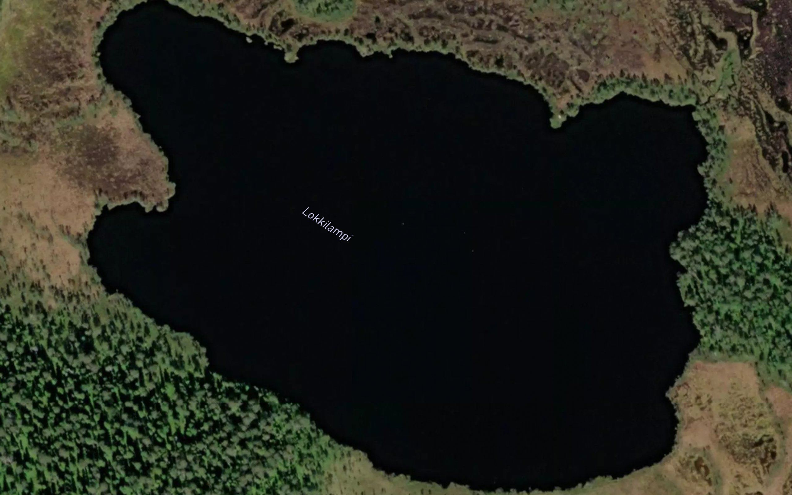 Lokkilampi