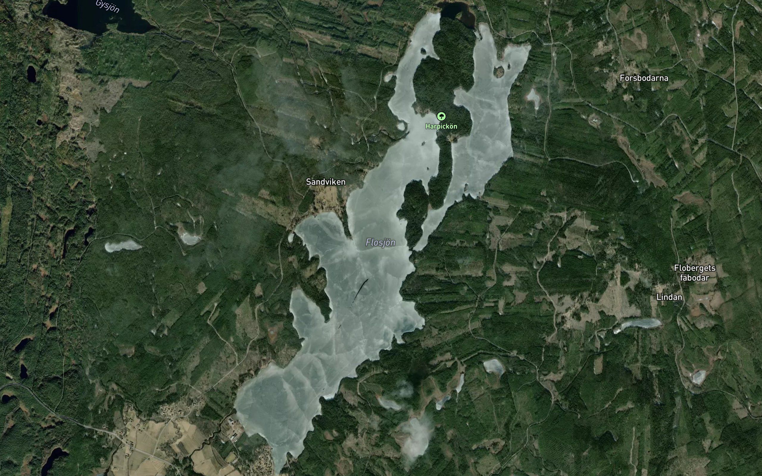 Flosjoen