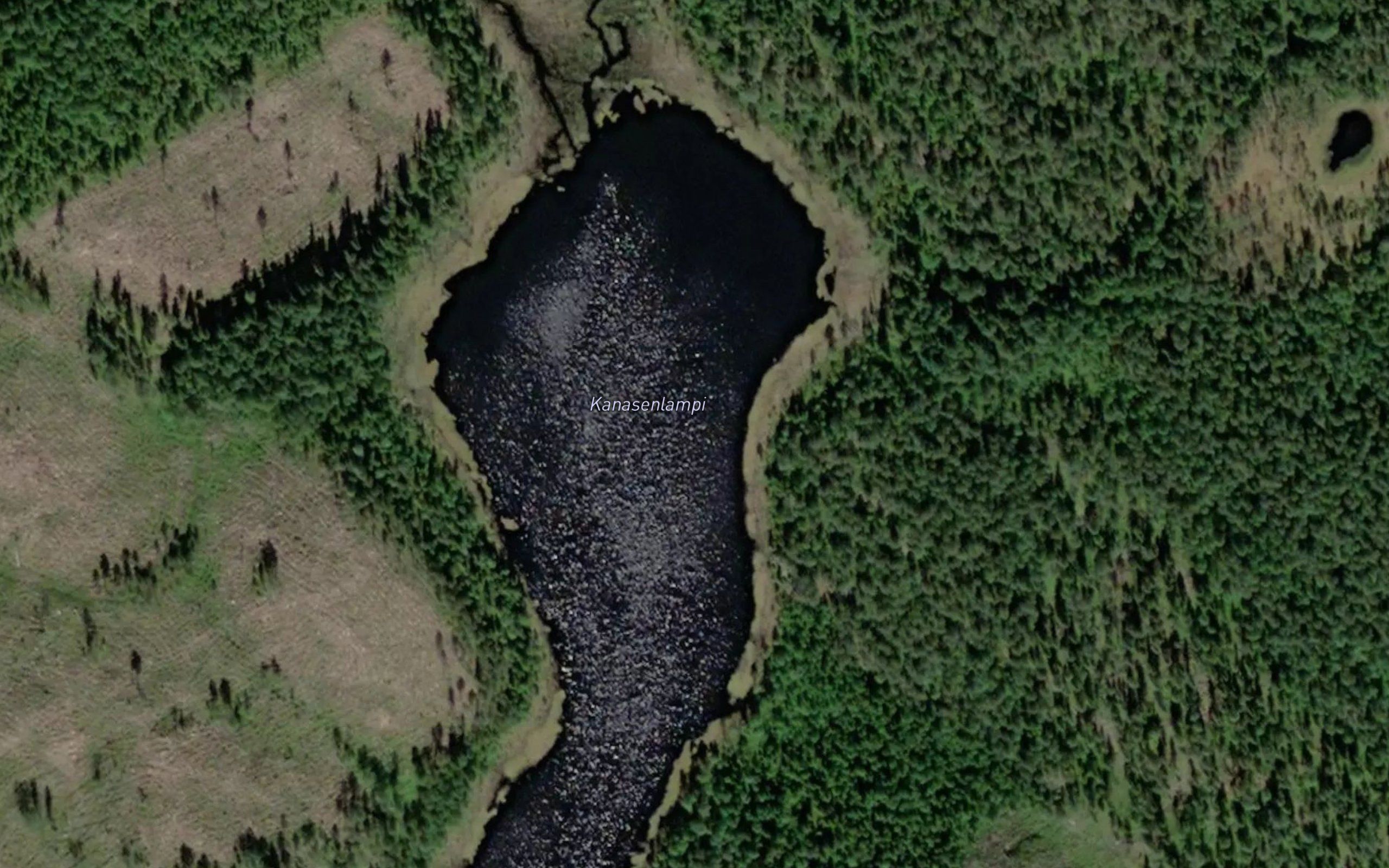 Kanasenlampi