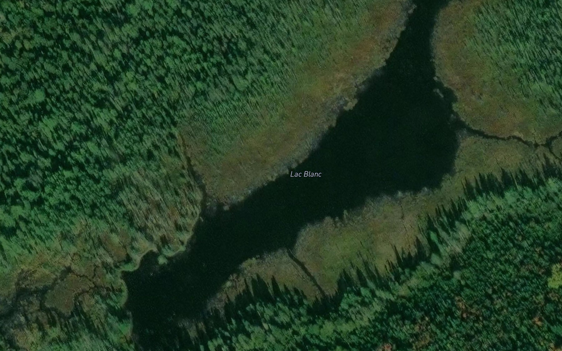 Satellite map of the Lac Blanc