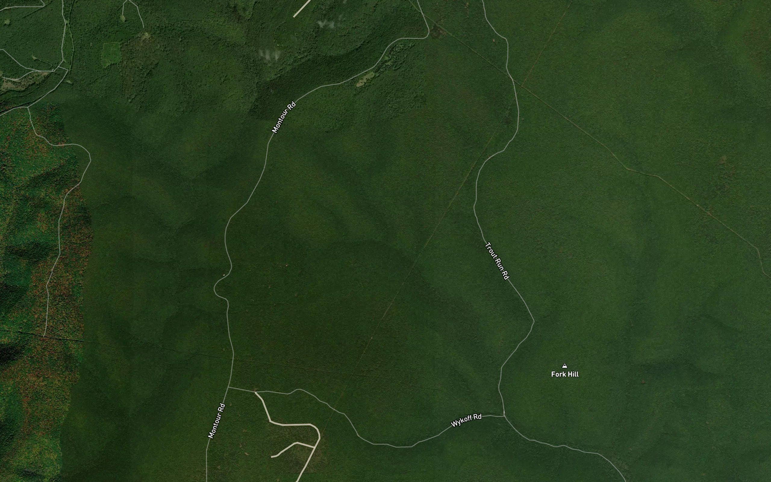 Right Fork Green Branch