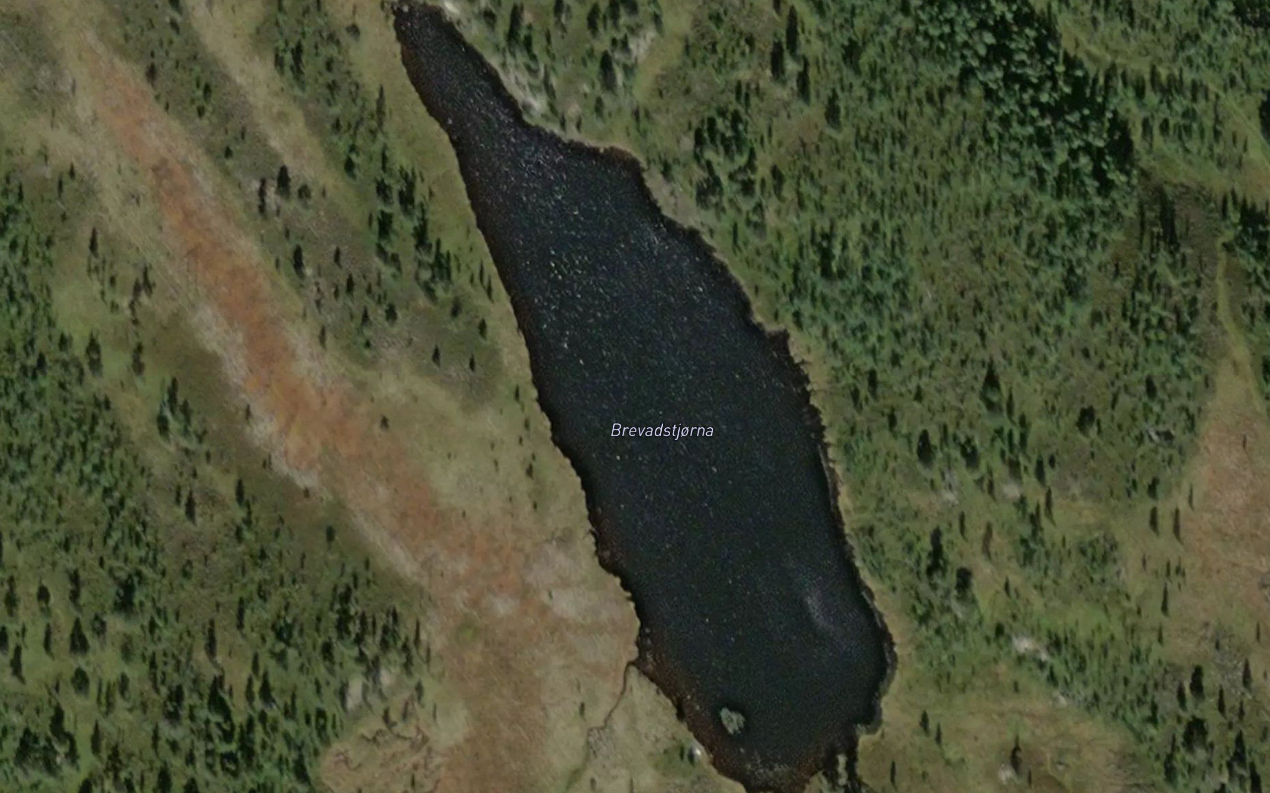 Brevadstjorna