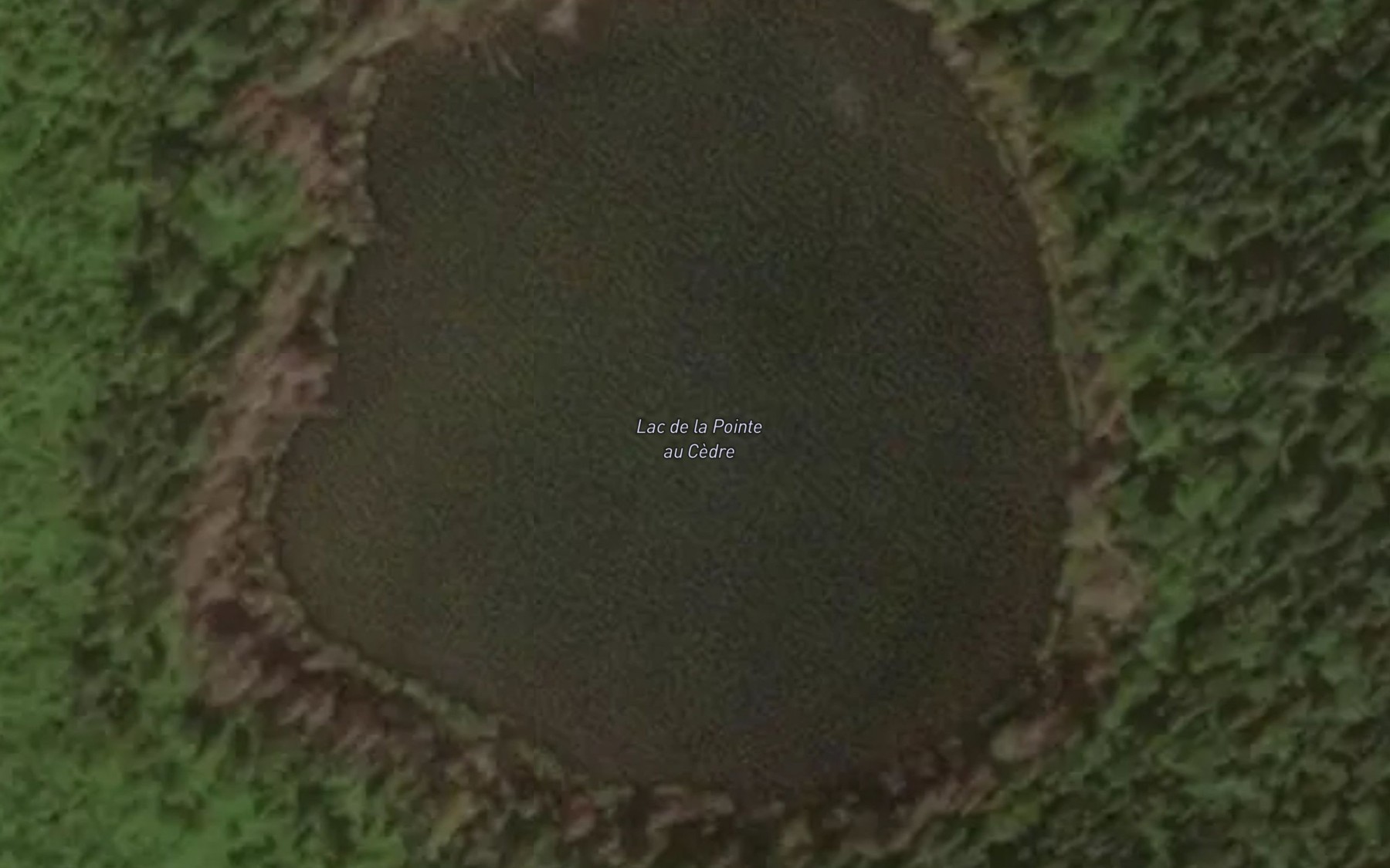 Satellite map of the Lac de la Pointe au Cedre