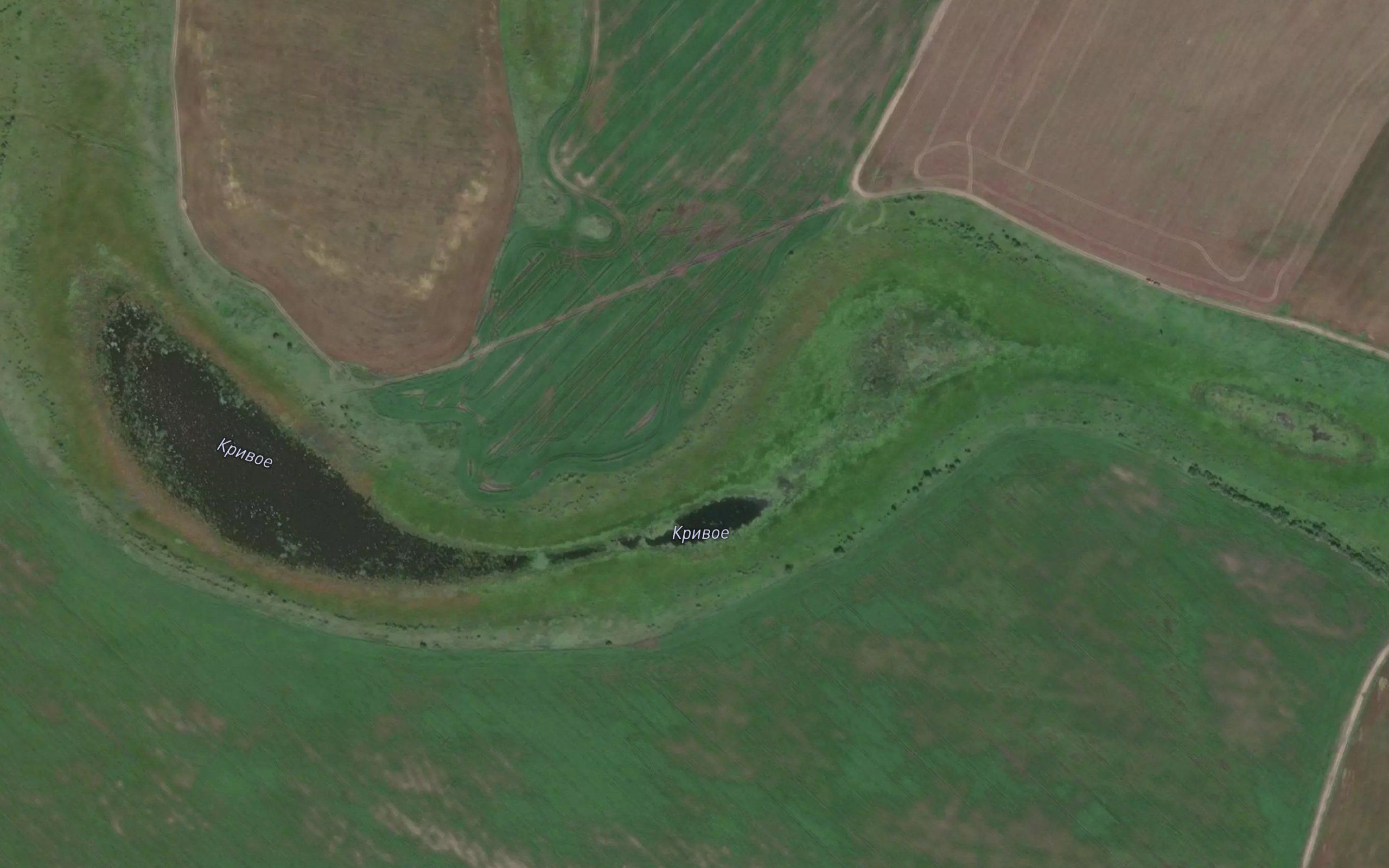 Ozero Krivoye